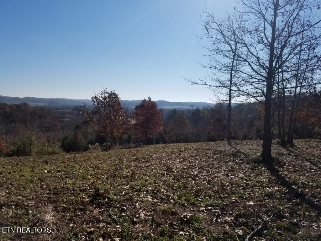417 Womac Hollow Road Ten Mile TN 37880