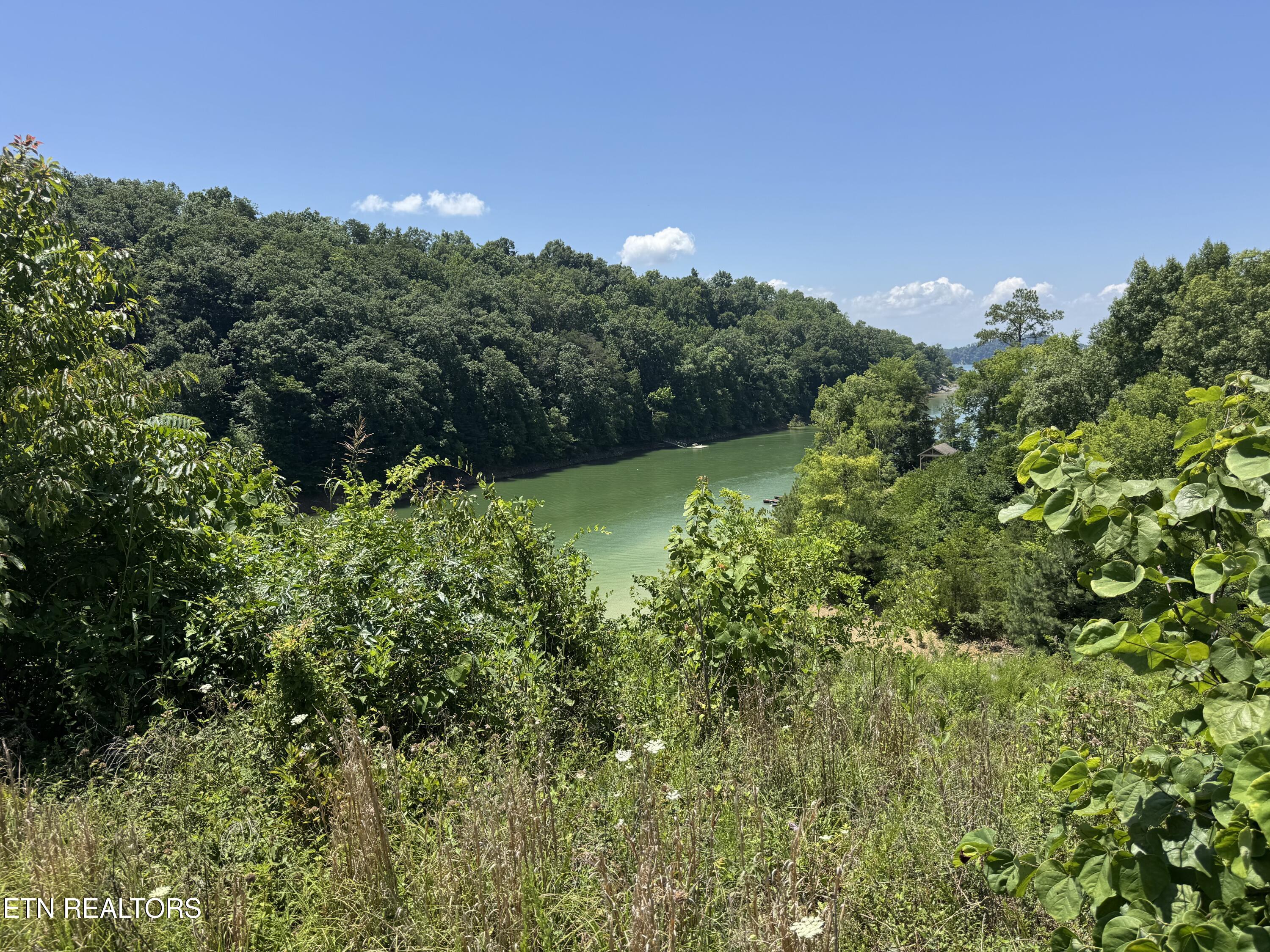 Lot 30 Stone Shore Way Dandridge TN 37725