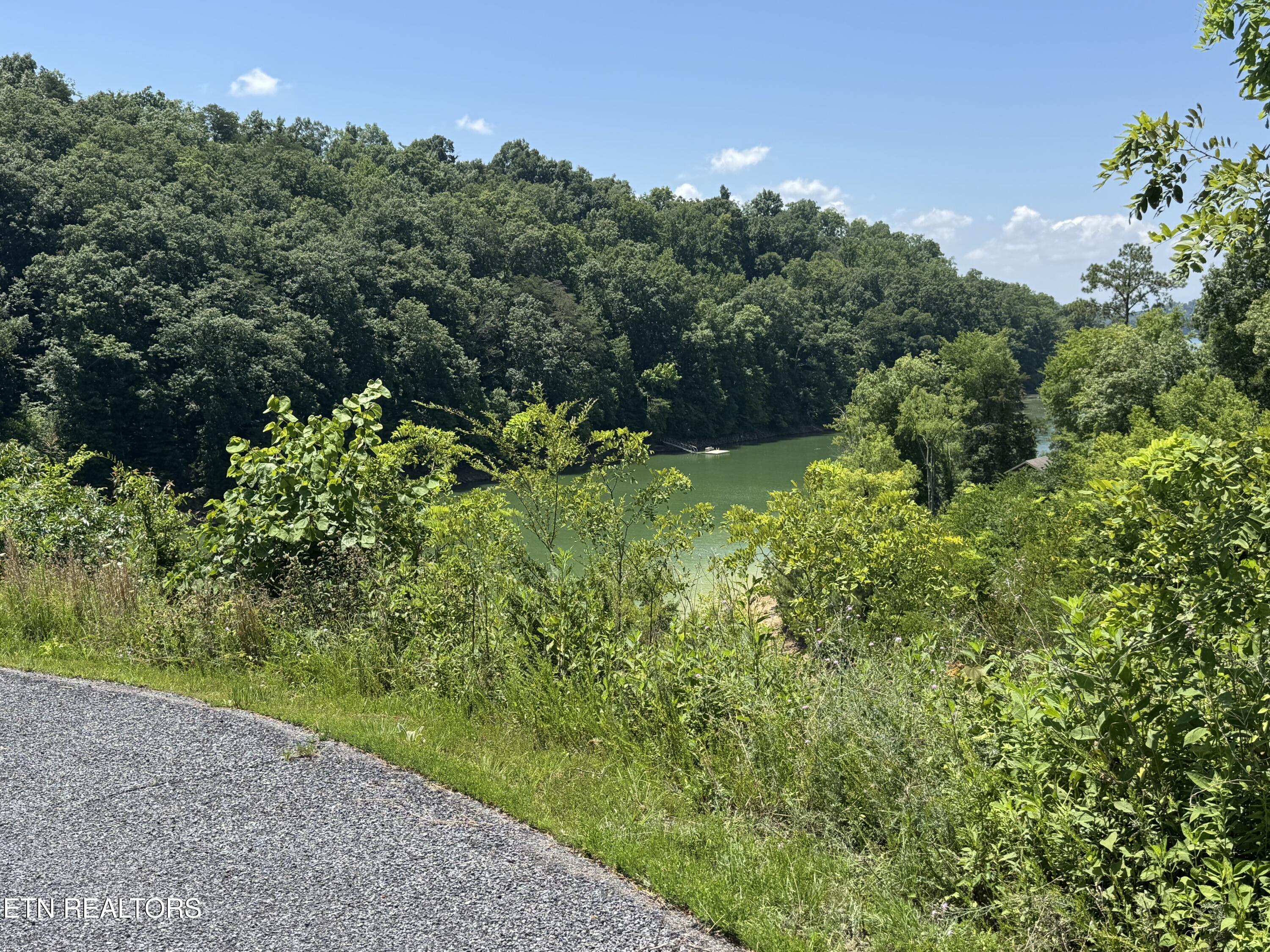 Lot 30 Stone Shore Way Dandridge TN 37725