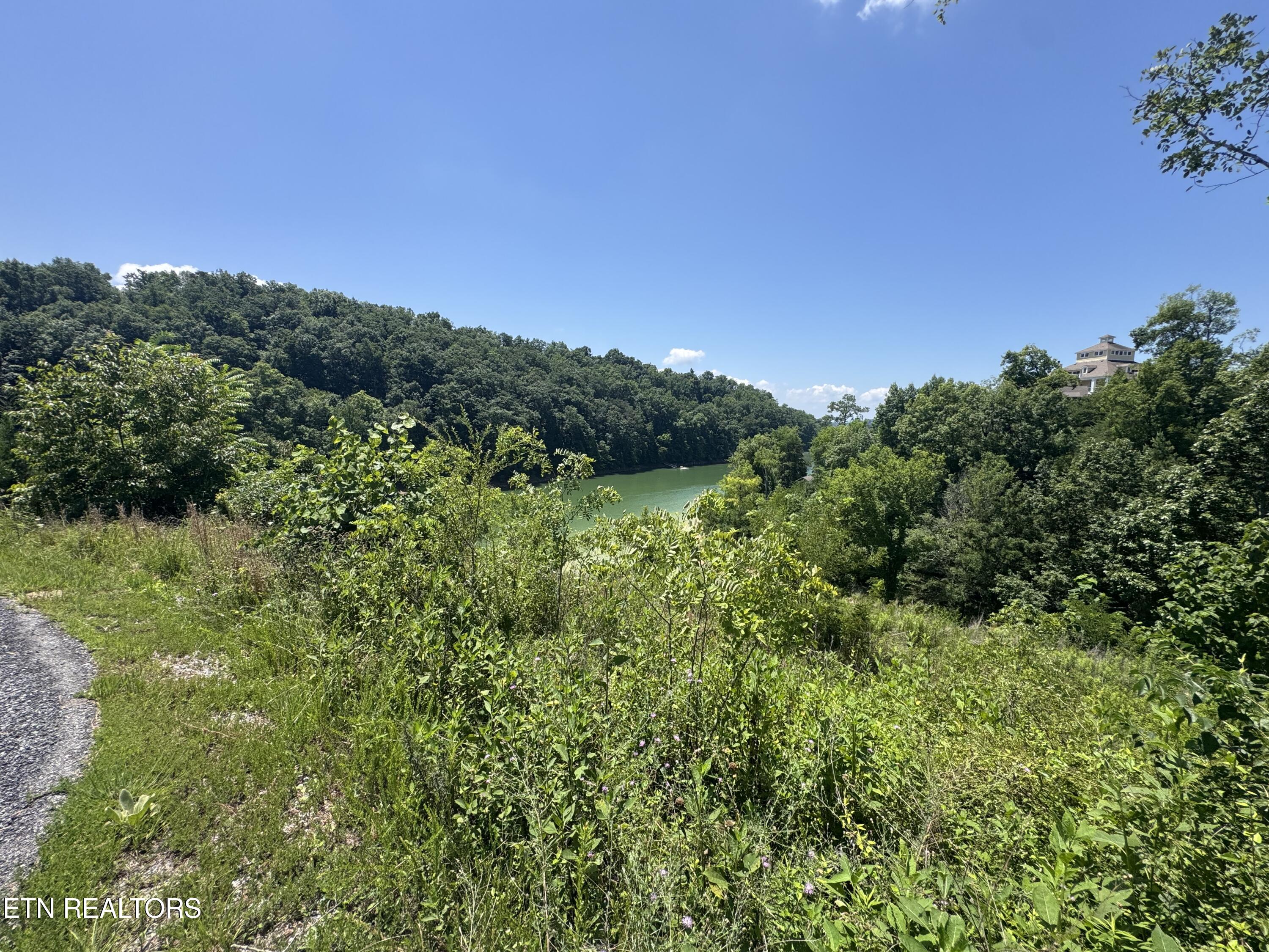 Lot 30 Stone Shore Way Dandridge TN 37725
