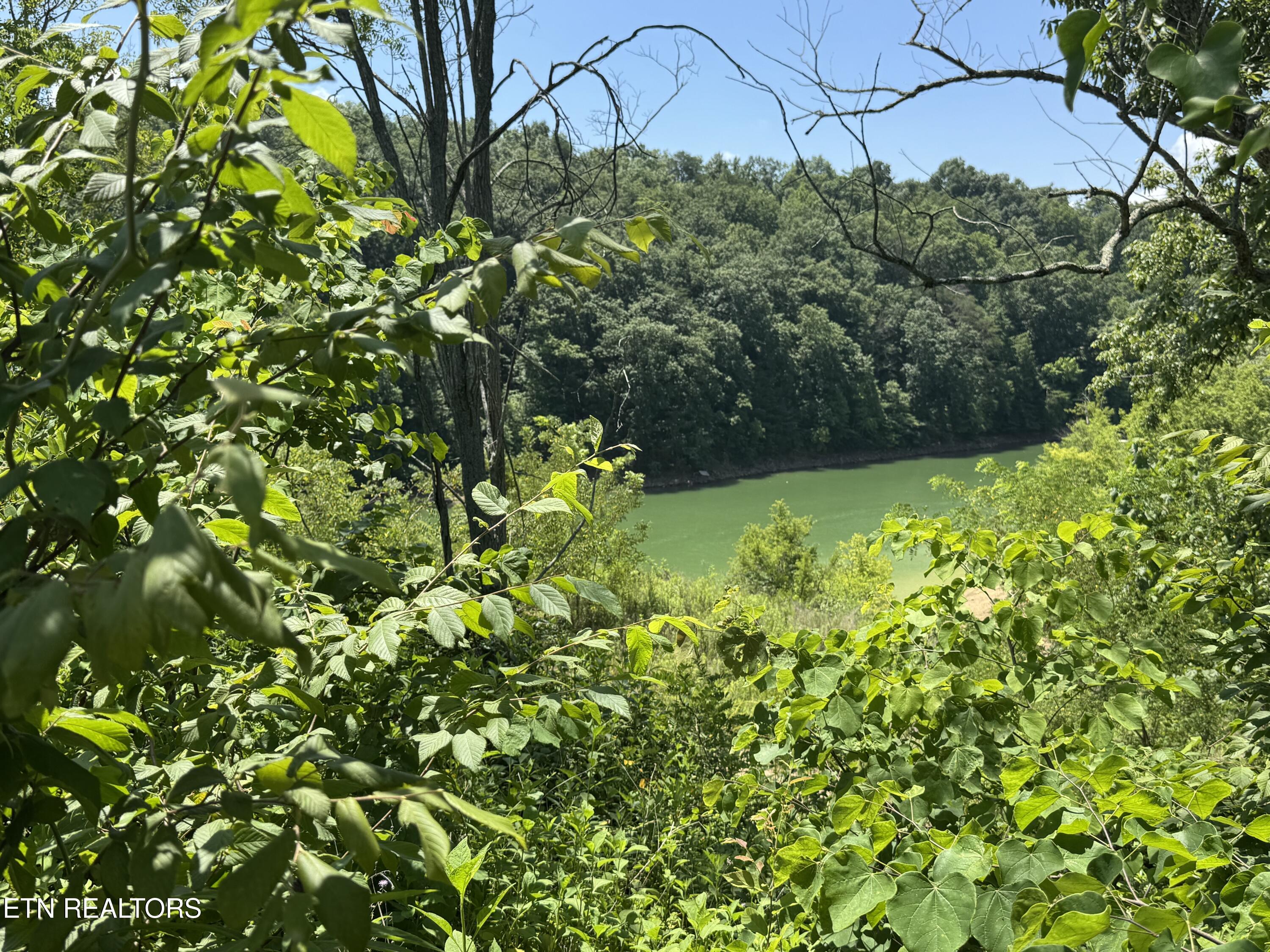 Lot 30 Stone Shore Way Dandridge TN 37725