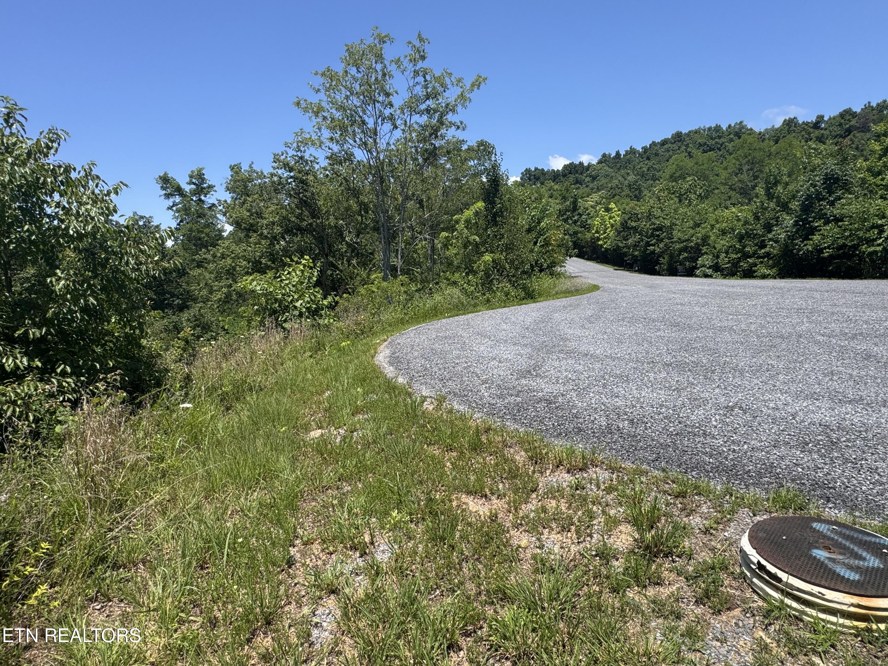 Lot 30 Stone Shore Way Dandridge TN 37725