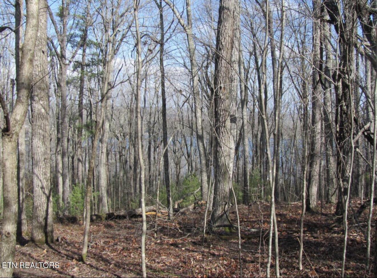 Markham Lane Fairfield Glade TN 38558