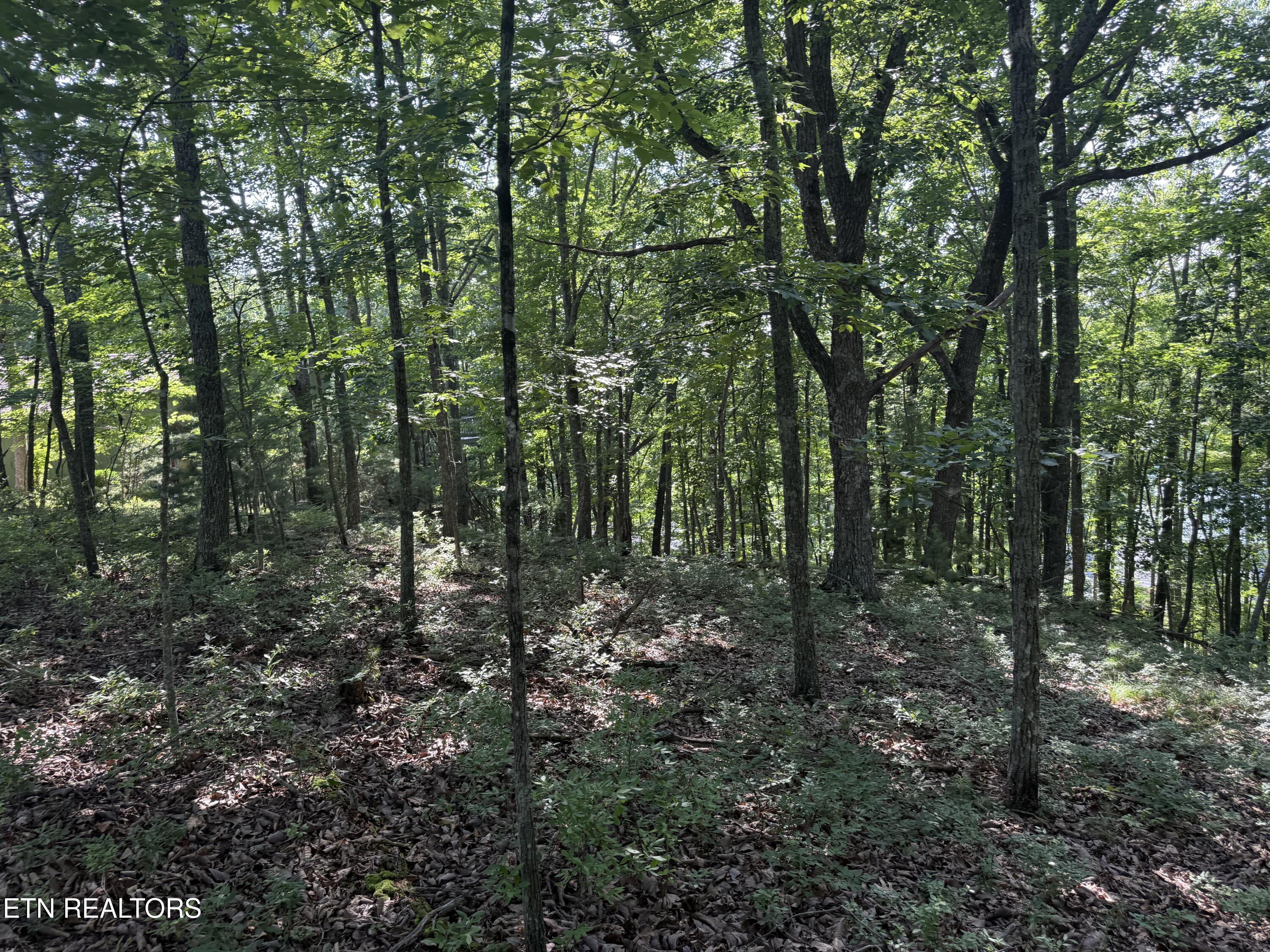 Markham Lane Fairfield Glade TN 38558