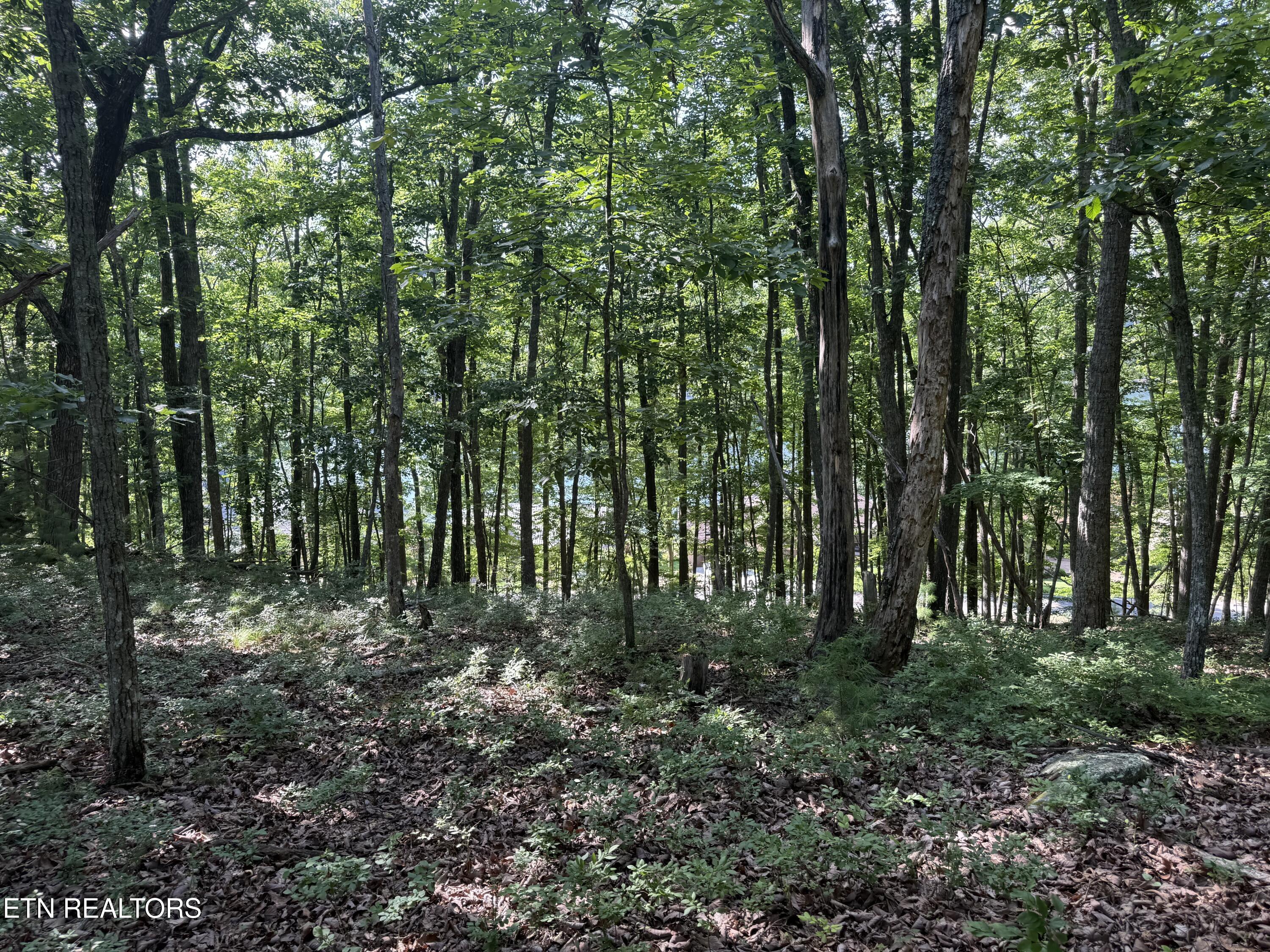 Markham Lane Fairfield Glade TN 38558