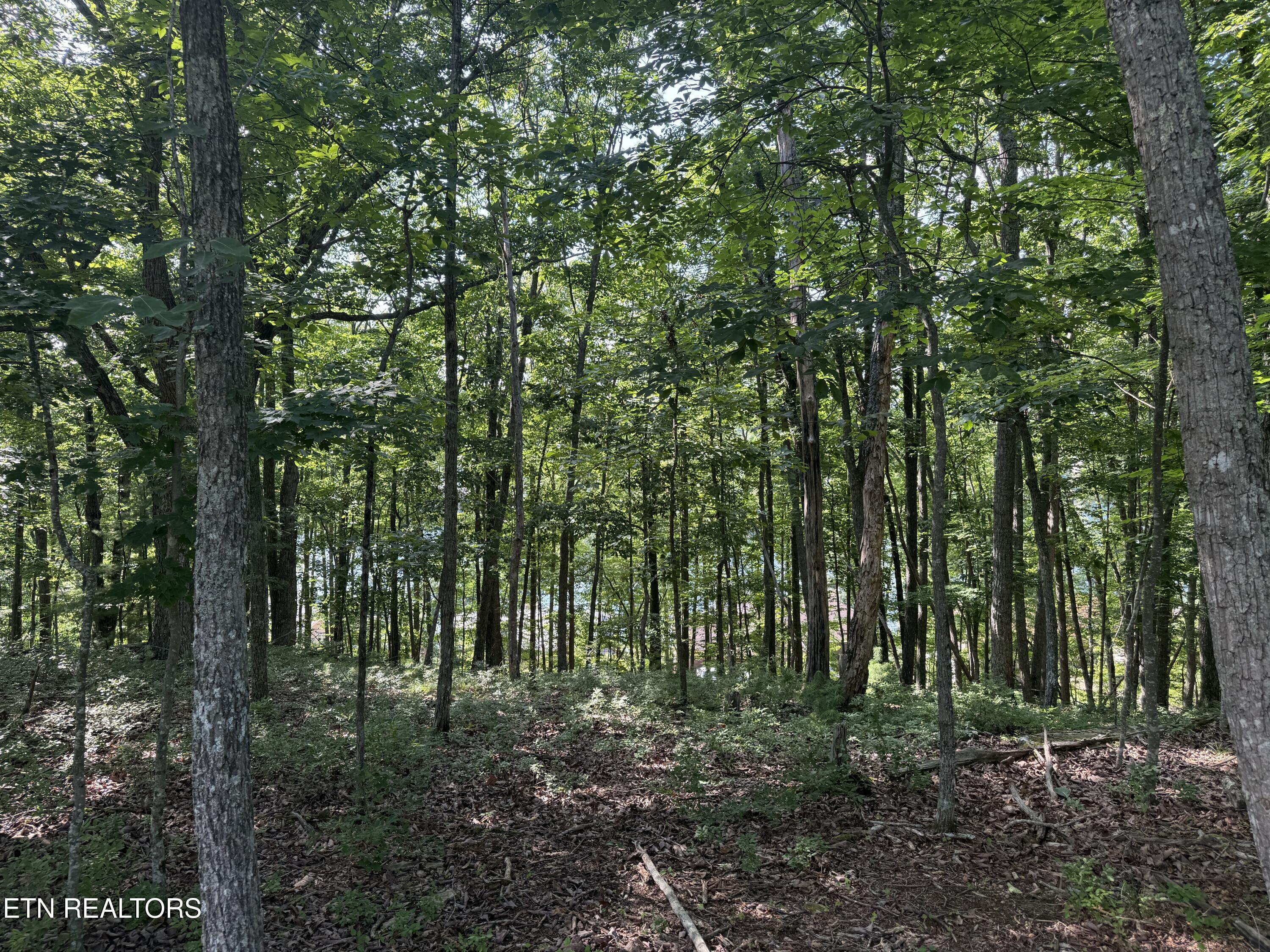 Markham Lane Fairfield Glade TN 38558