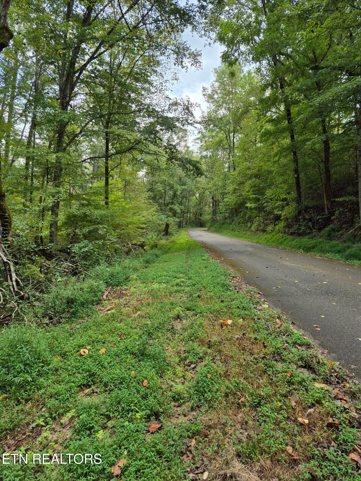 253 Old Christianburg Road Madisonville TN 37354