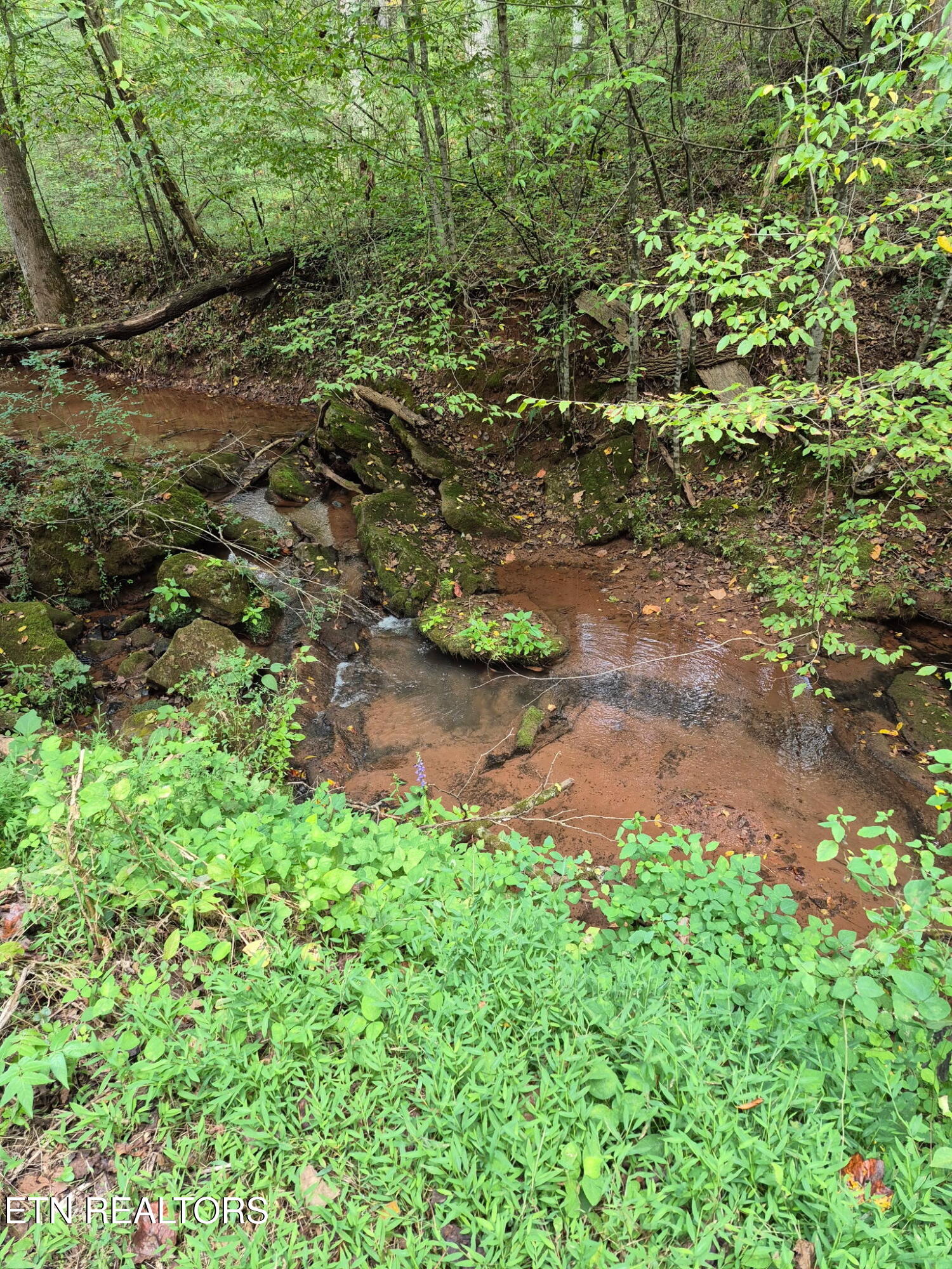 253 Old Christianburg Road Madisonville TN 37354