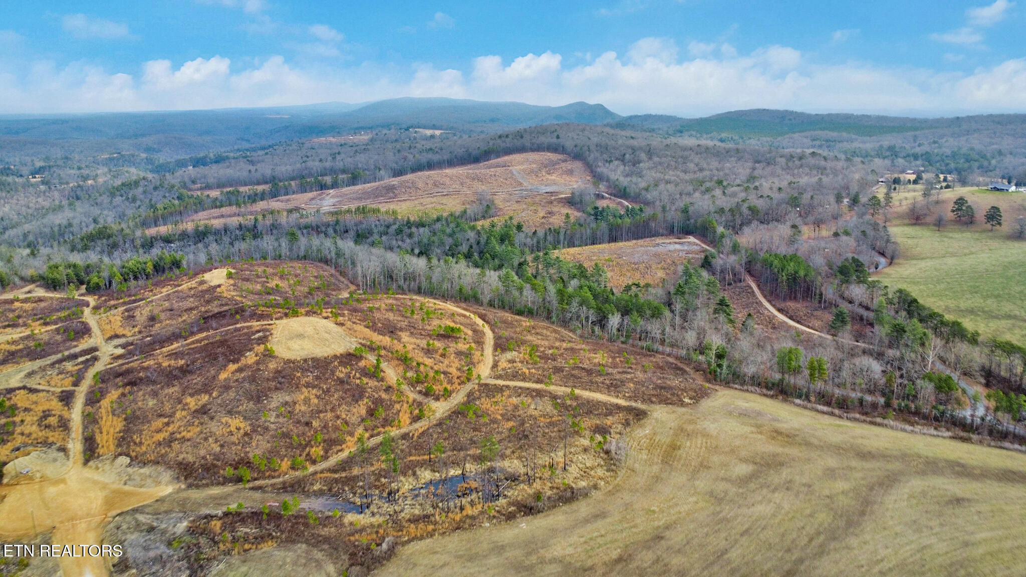 Possum Trot Road- 142.25 Acres Grandview TN 37337