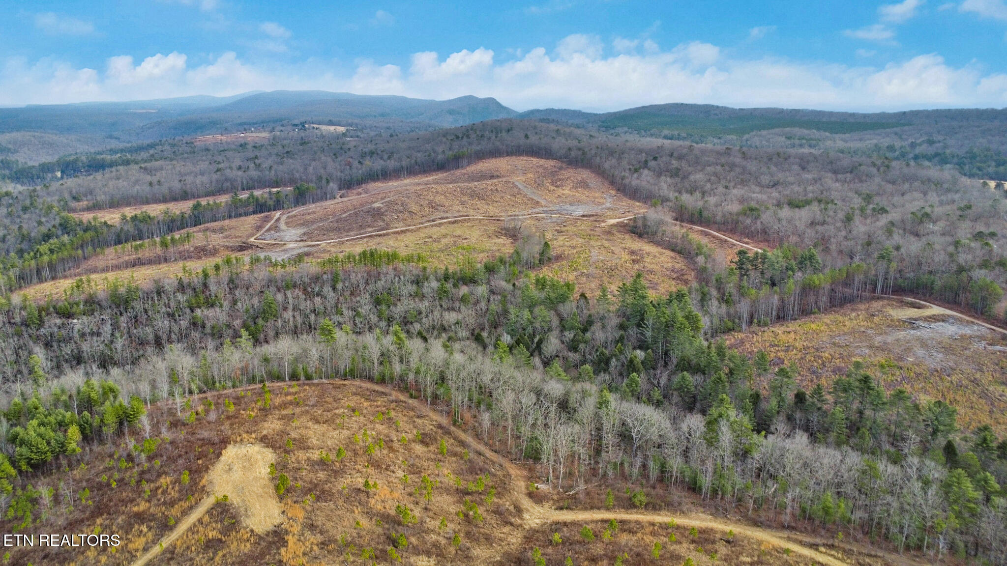 Possum Trot Road- 142.25 Acres Grandview TN 37337