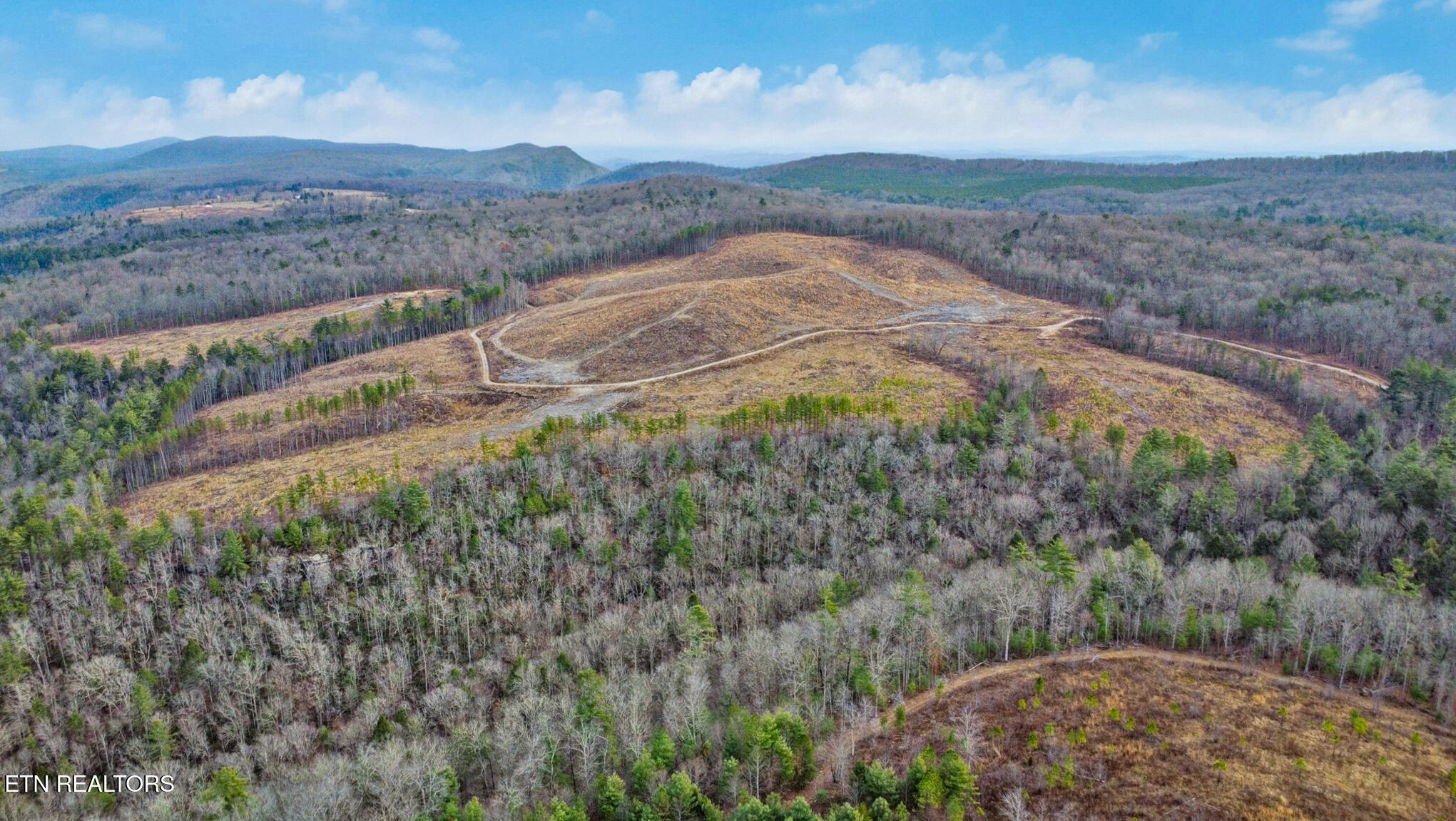 Possum Trot Road- 142.25 Acres Grandview TN 37337