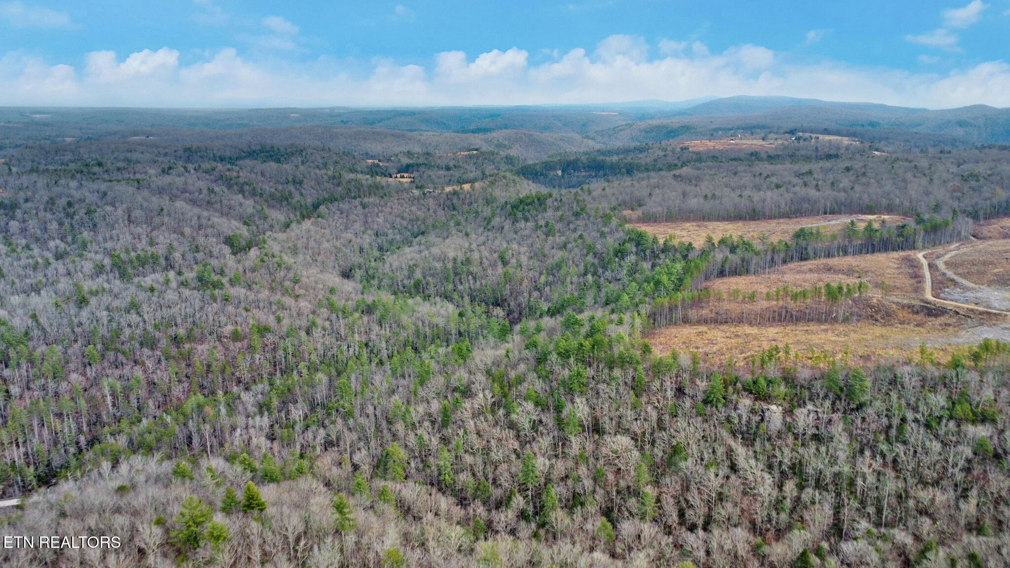 Possum Trot Road- 142.25 Acres Grandview TN 37337