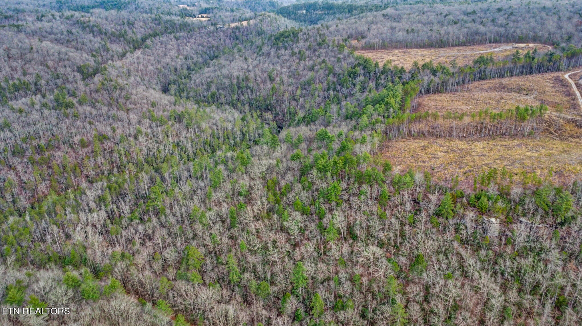 Possum Trot Road- 142.25 Acres Grandview TN 37337