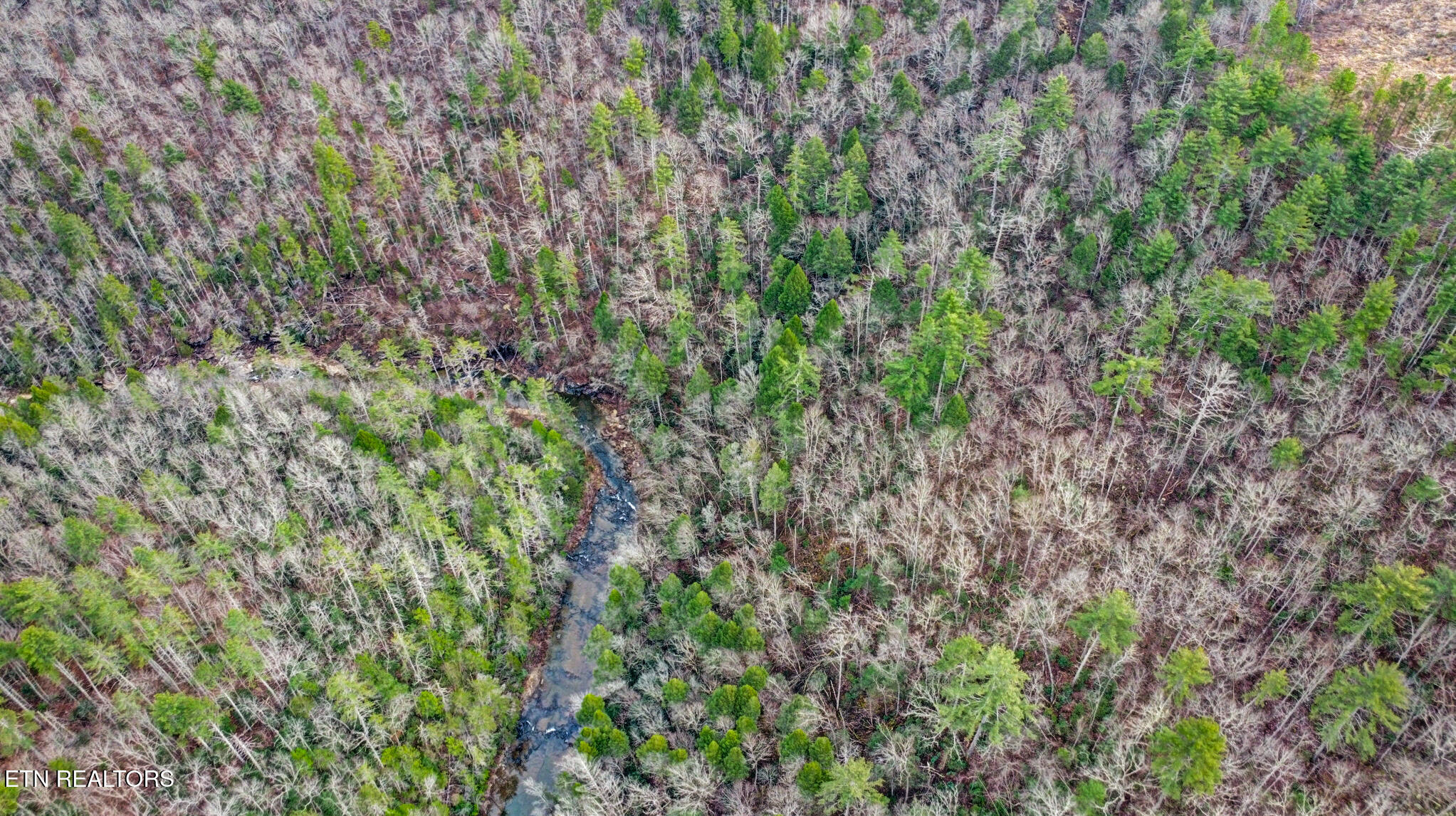 Possum Trot Road- 142.25 Acres Grandview TN 37337