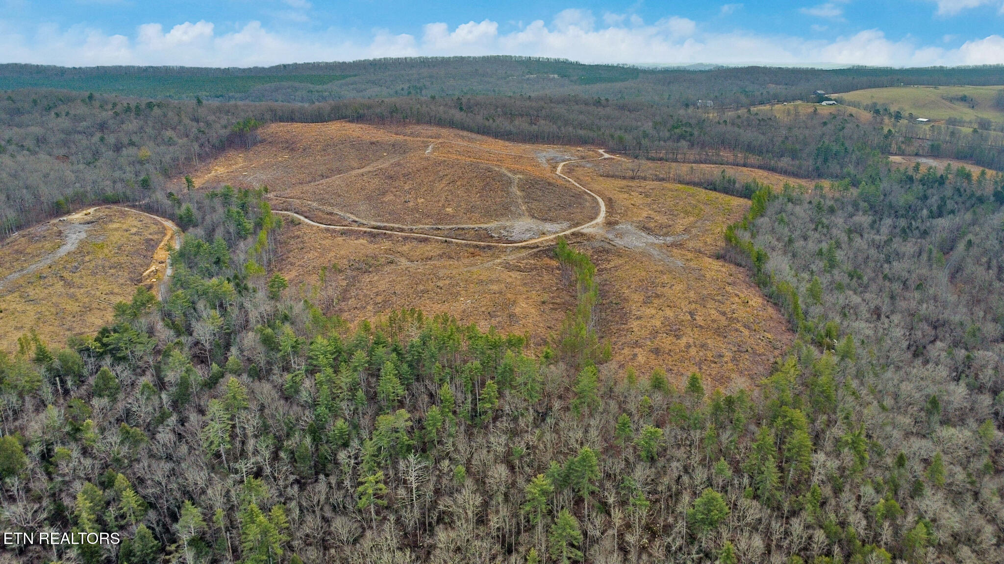 Possum Trot Road- 142.25 Acres Grandview TN 37337