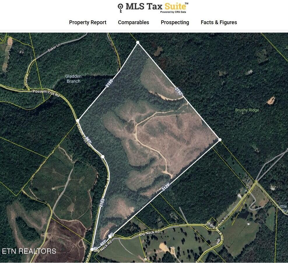 Possum Trot Road- 142.25 Acres Grandview TN 37337