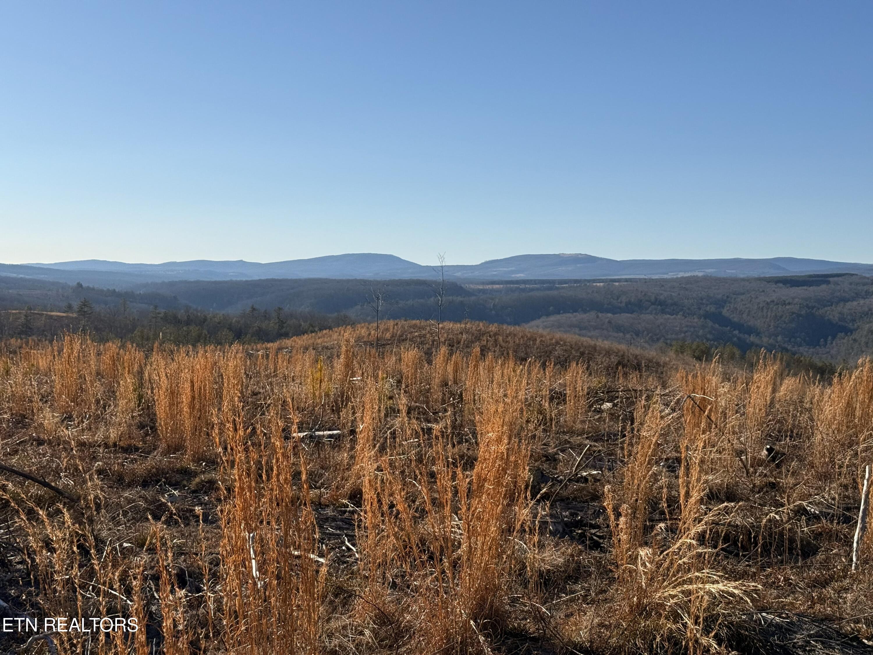 Possum Trot Road- 142.25 Acres Grandview TN 37337