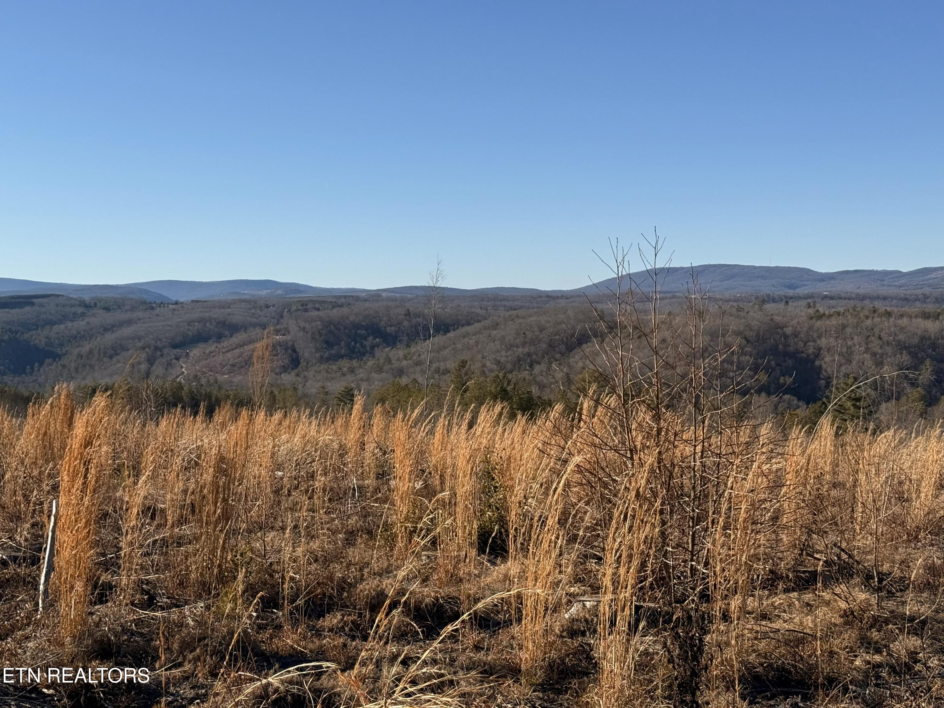 Possum Trot Road- 142.25 Acres Grandview TN 37337