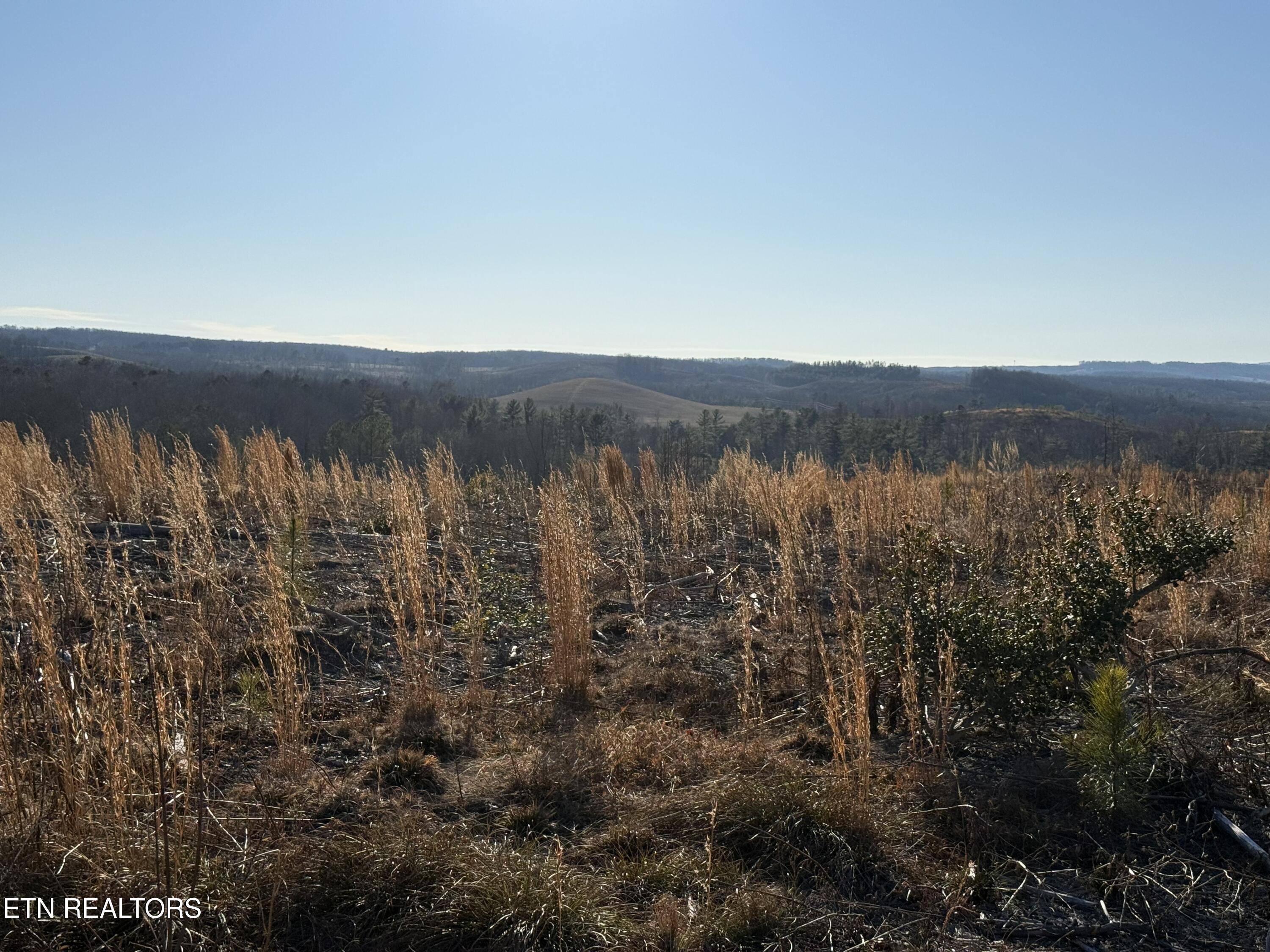 Possum Trot Road- 142.25 Acres Grandview TN 37337