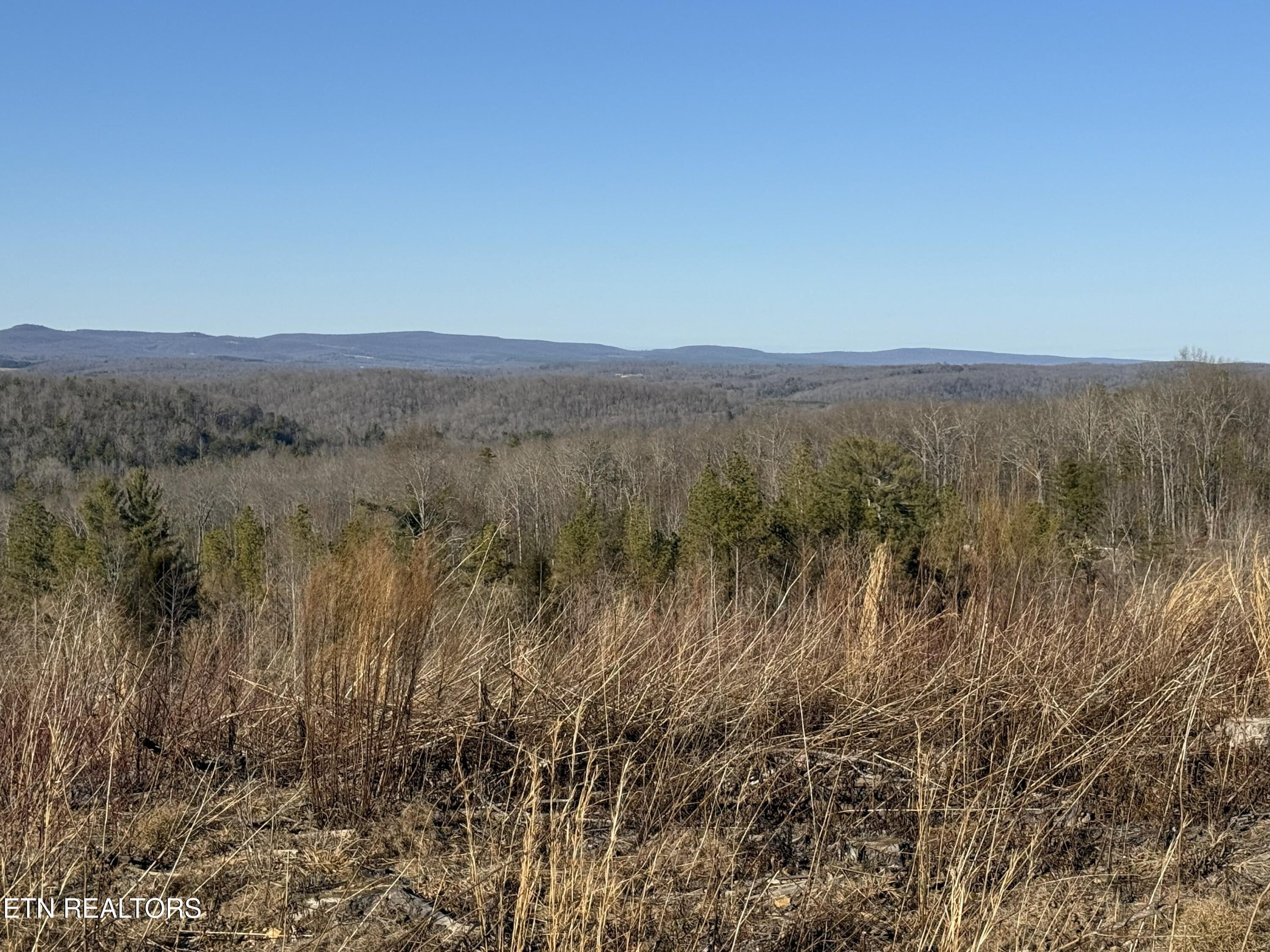 Possum Trot Road- 142.25 Acres Grandview TN 37337