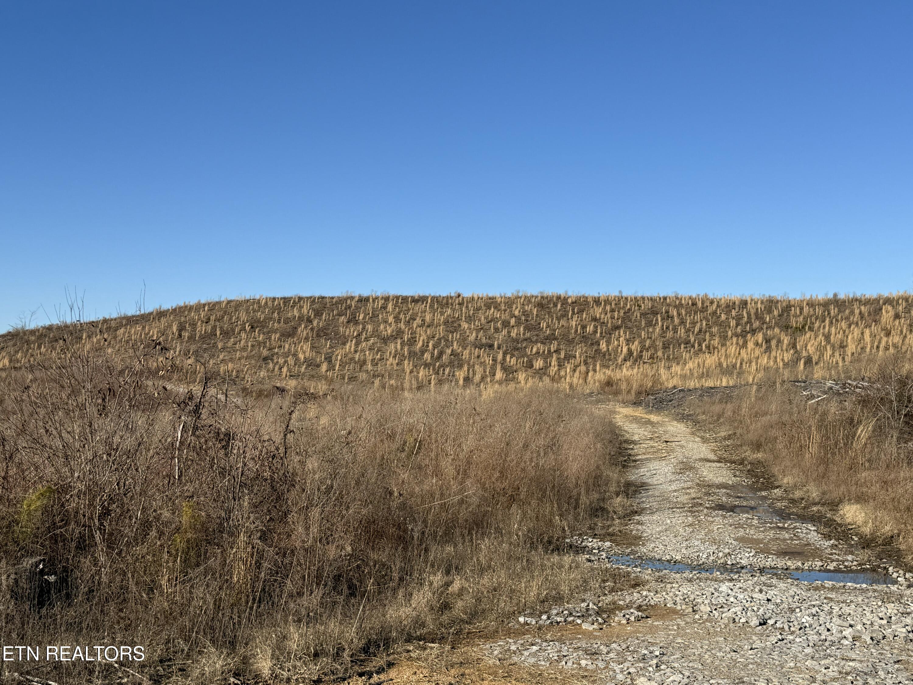 Possum Trot Road- 142.25 Acres Grandview TN 37337