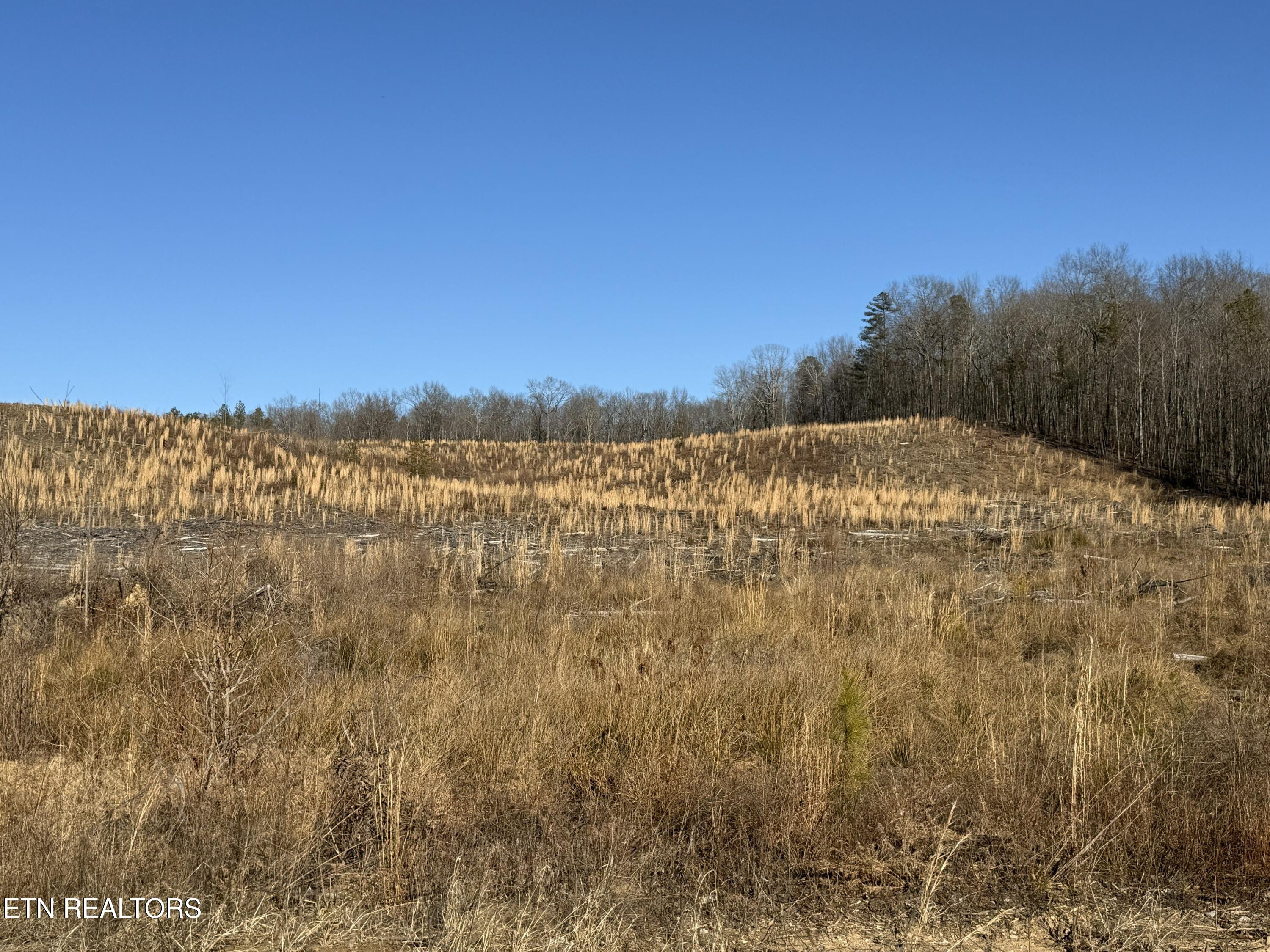 Possum Trot Road- 142.25 Acres Grandview TN 37337