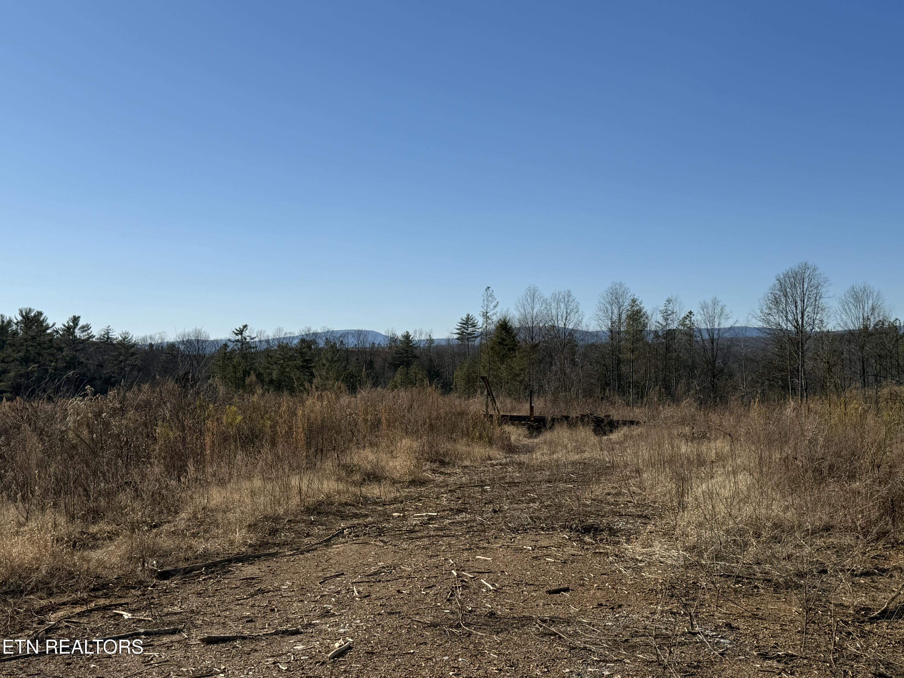 Possum Trot Road- 142.25 Acres Grandview TN 37337