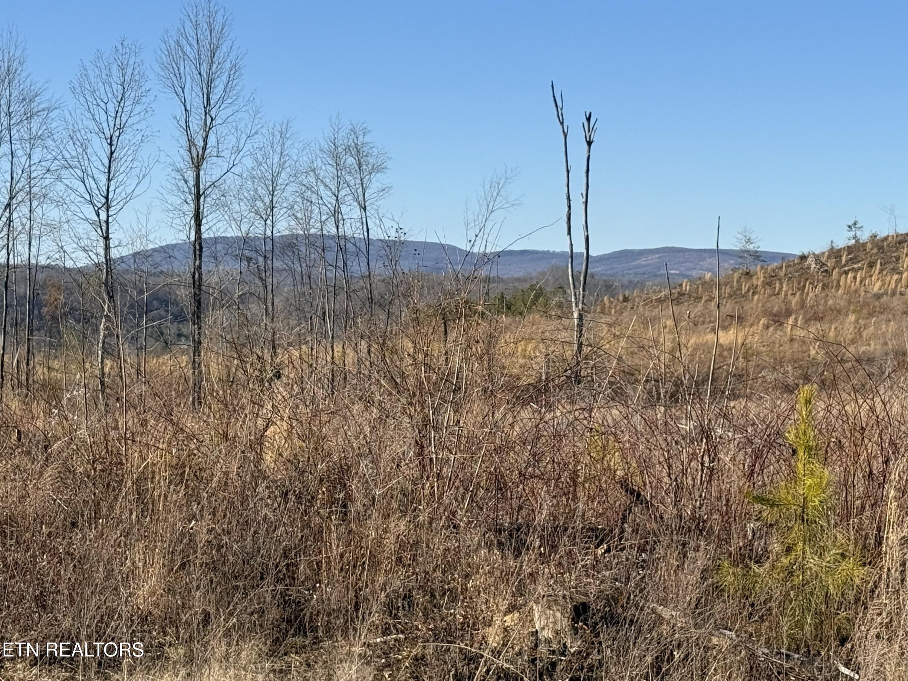 Possum Trot Road- 142.25 Acres Grandview TN 37337