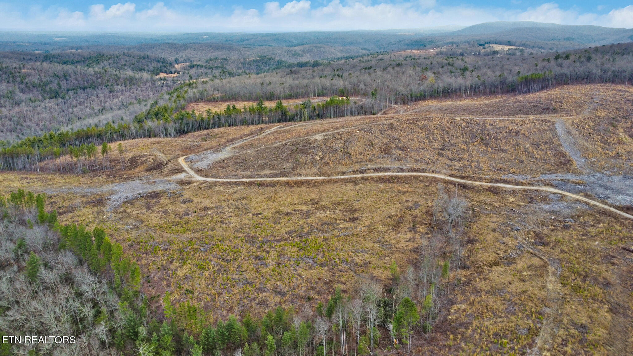 Possum Trot Road- 142.25 Acres Grandview TN 37337