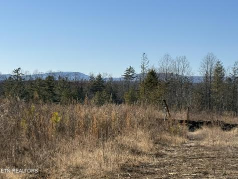 Possum Trot Road- 142.25 Acres Grandview TN 37337