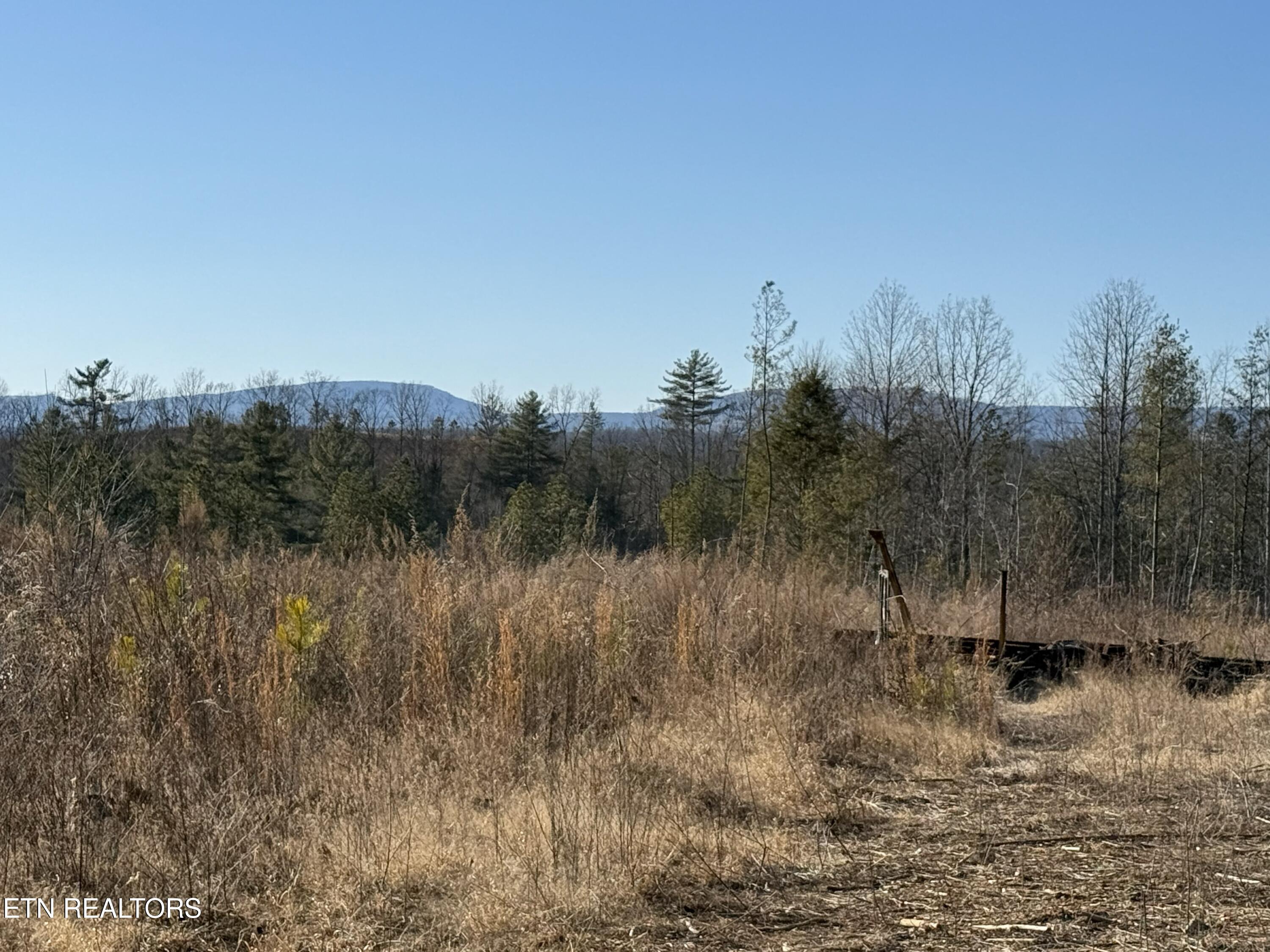 Possum Trot Road- 142.25 Acres Grandview TN 37337