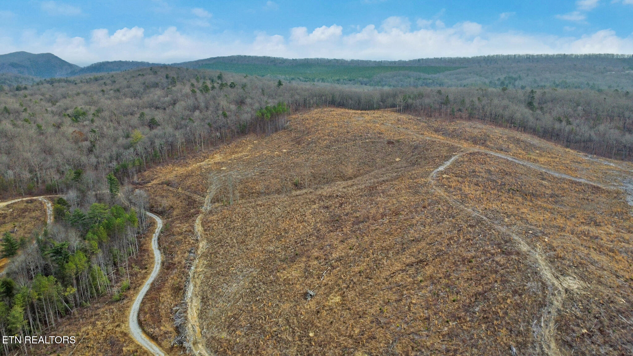 Possum Trot Road- 142.25 Acres Grandview TN 37337