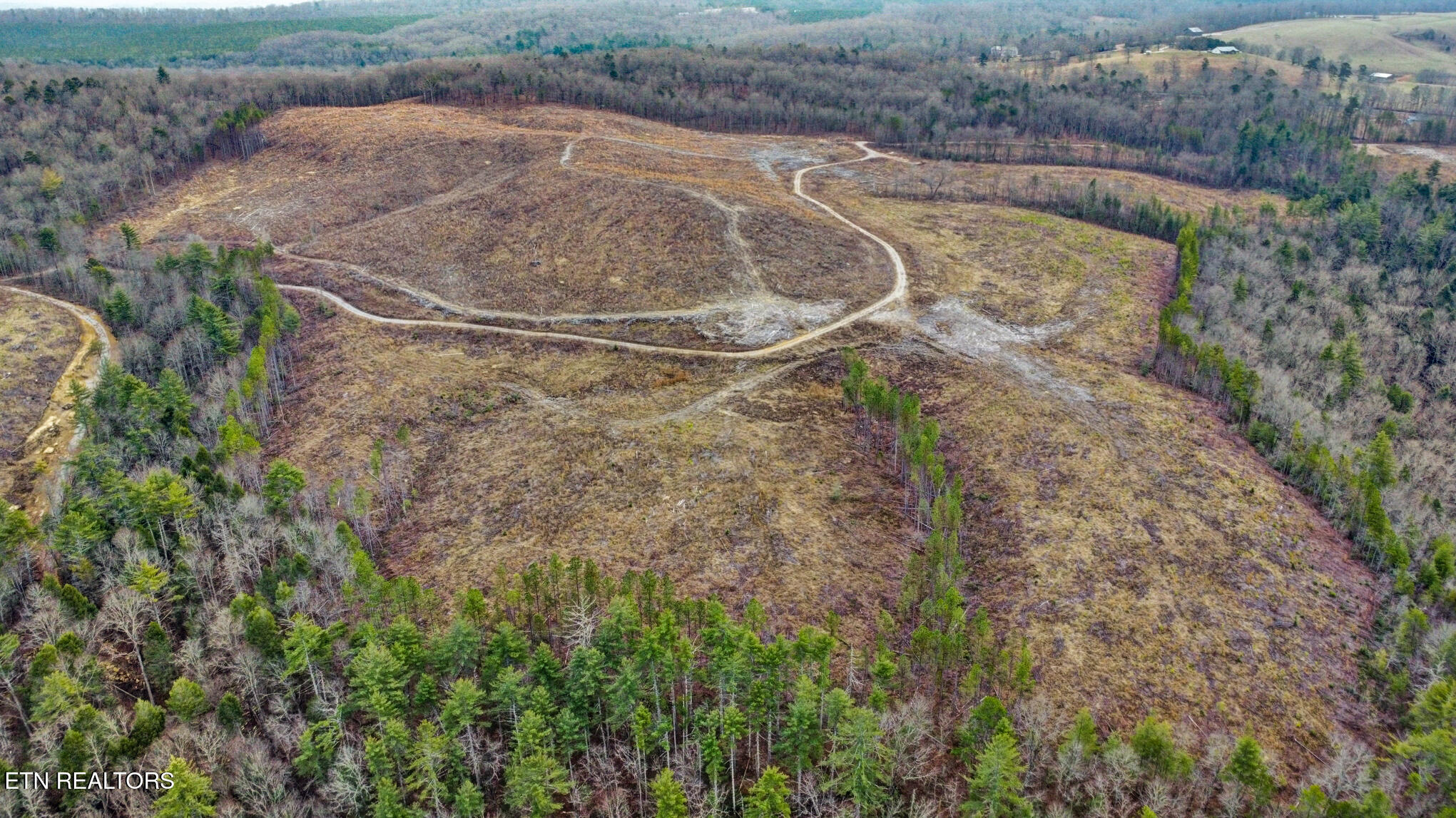 Possum Trot Road- 142.25 Acres Grandview TN 37337