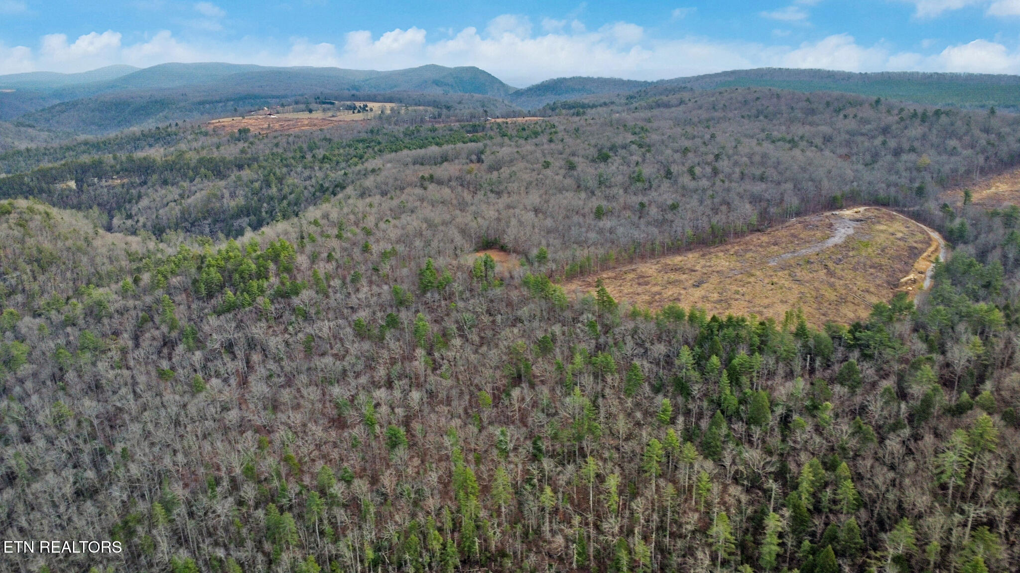 Possum Trot Road- 142.25 Acres Grandview TN 37337