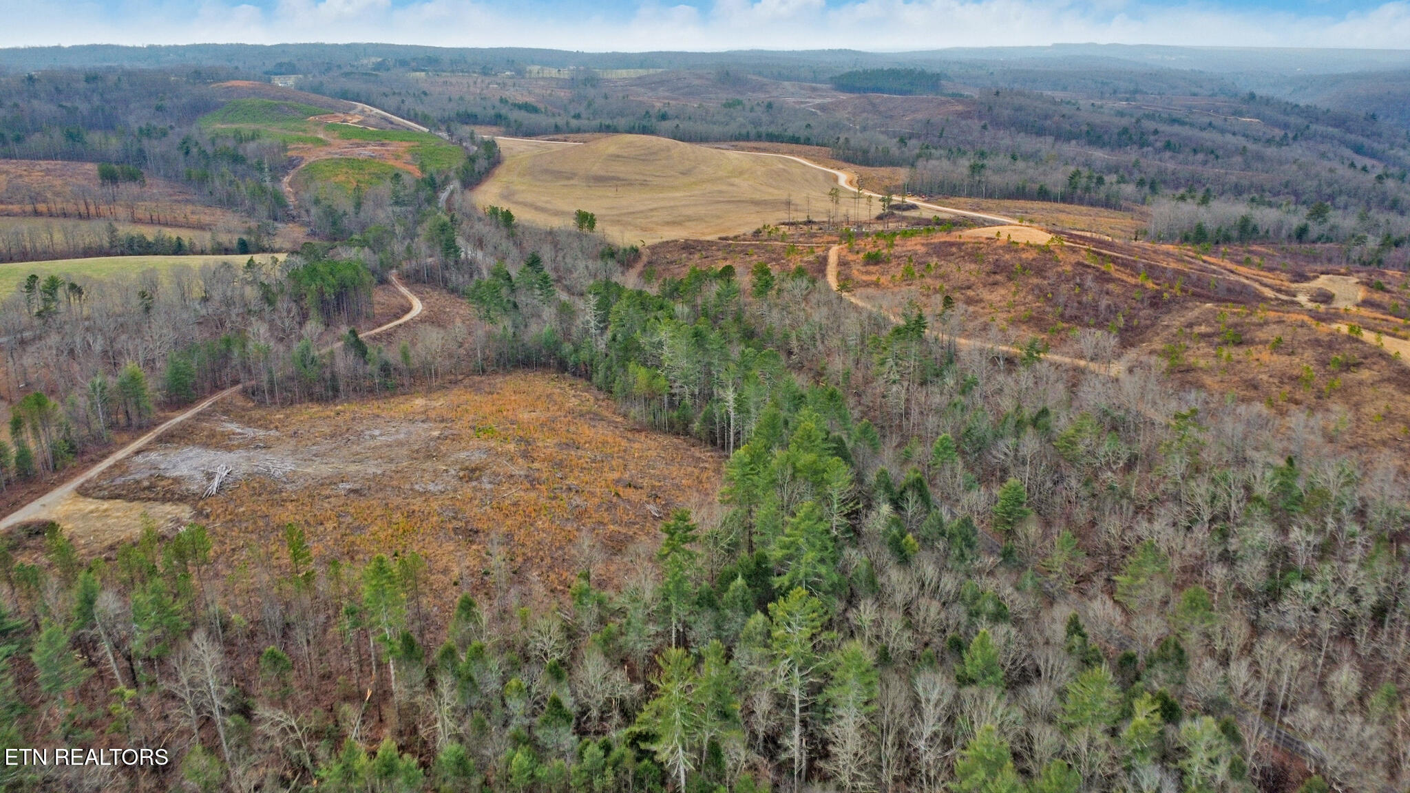 Possum Trot Road- 142.25 Acres Grandview TN 37337