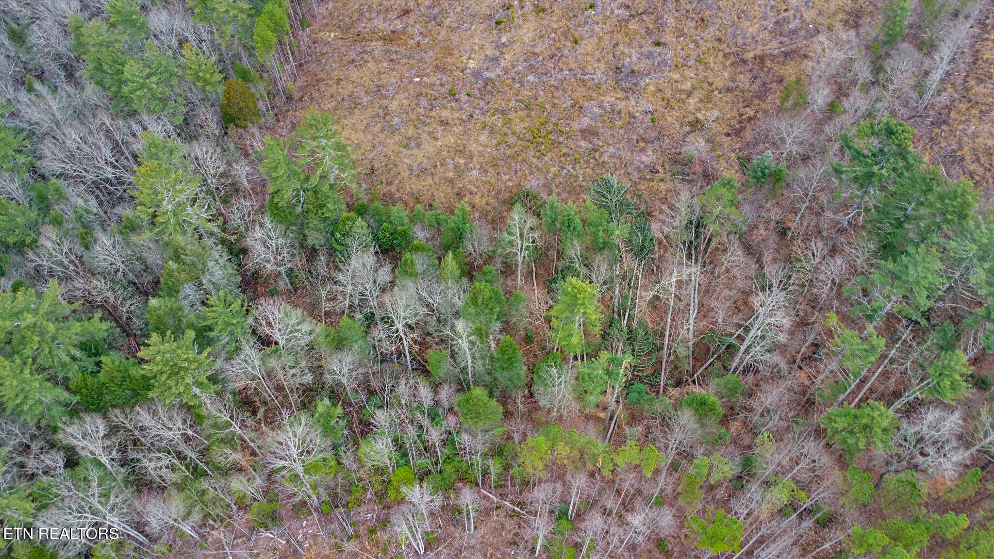 Possum Trot Road- 142.25 Acres Grandview TN 37337