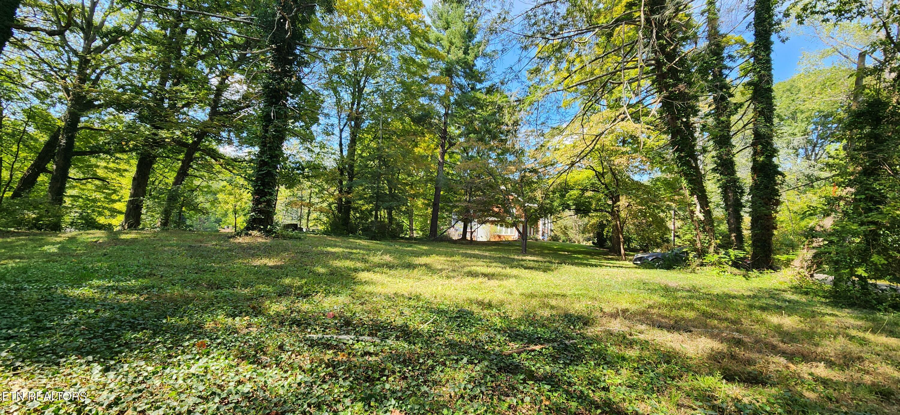 5817 Ridgewood Road Knoxville TN 37918