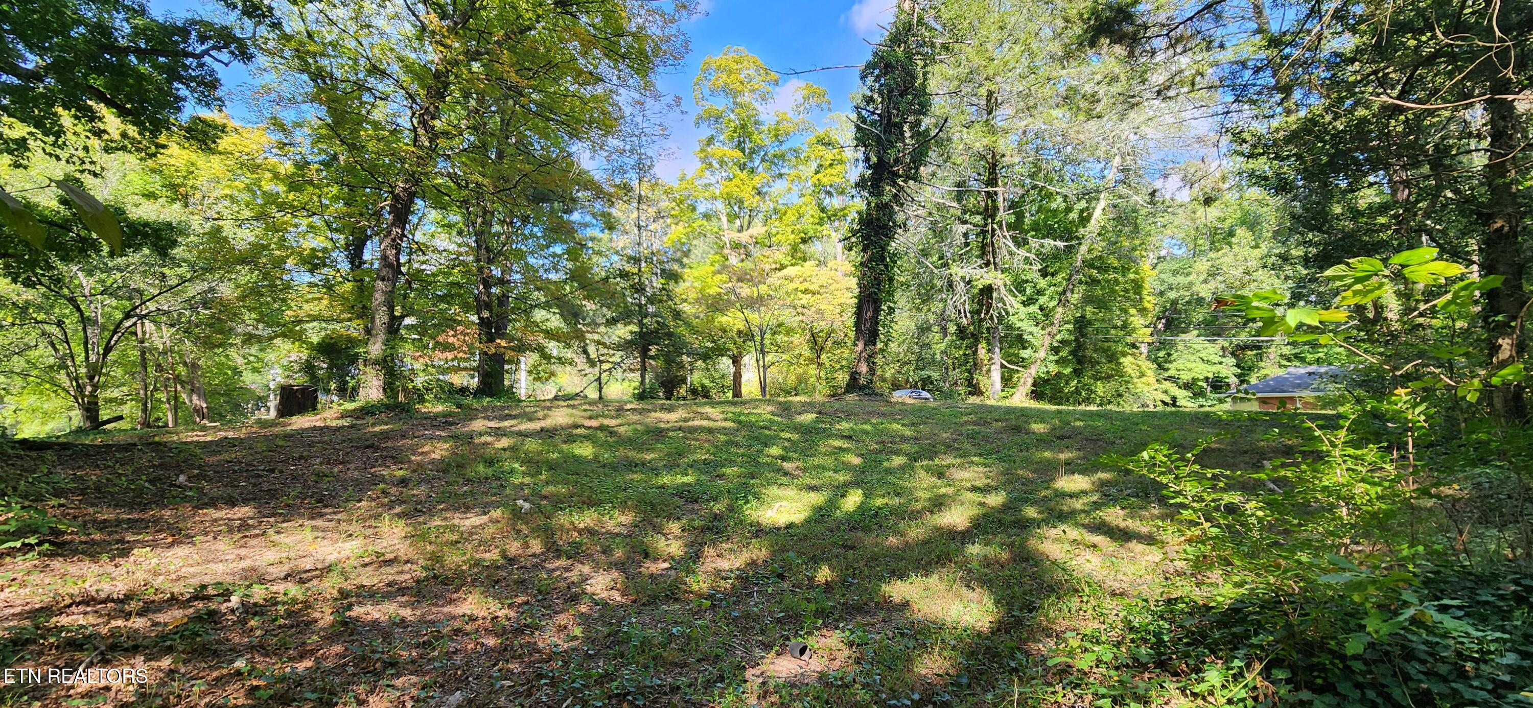5817 Ridgewood Road Knoxville TN 37918