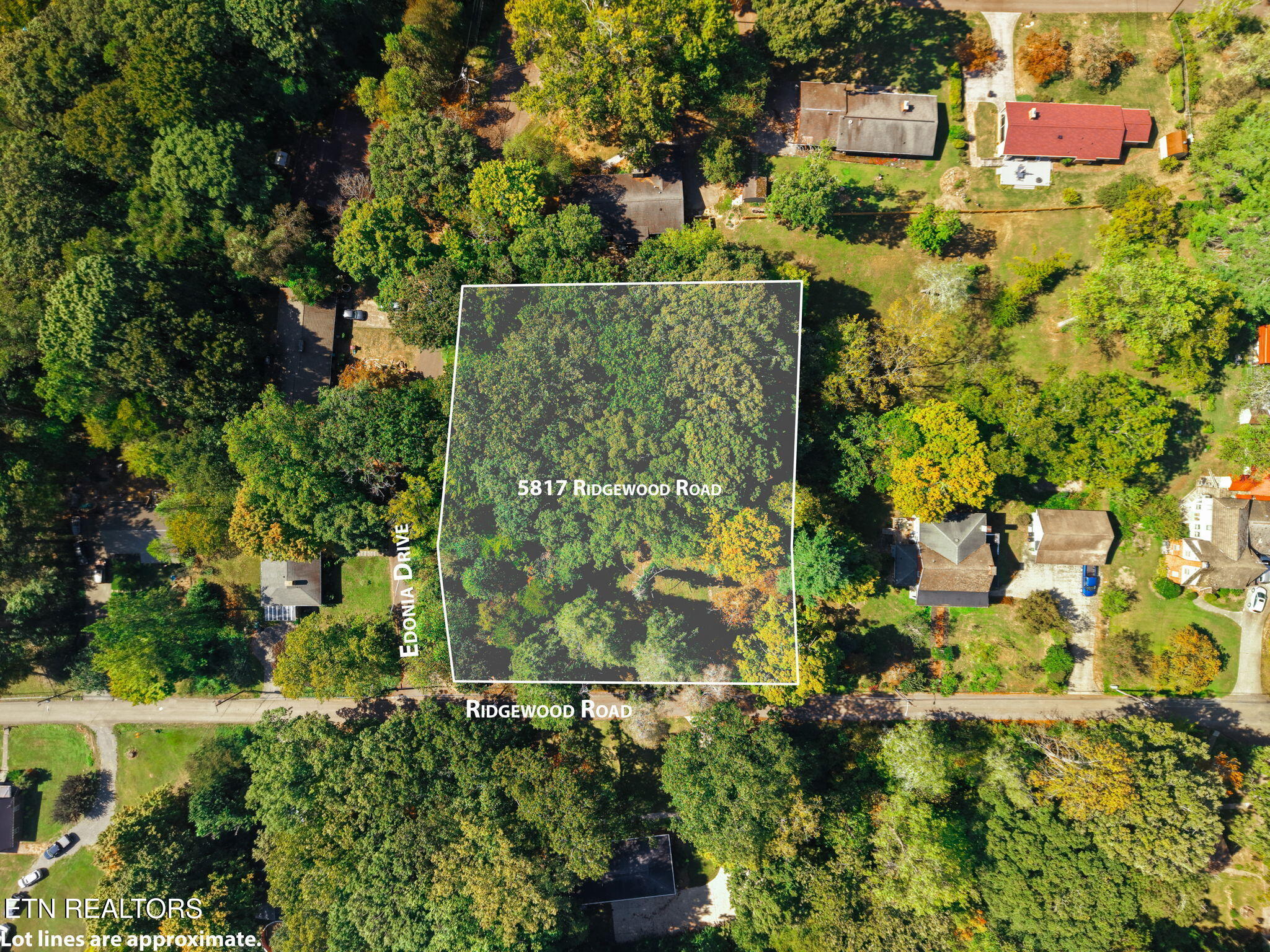 5817 Ridgewood Road Knoxville TN 37918