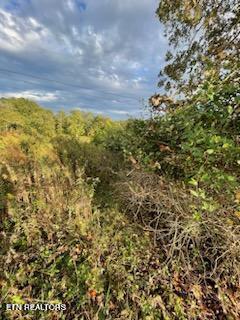 520 Lowe Road Crossville TN 38572