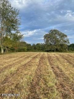 520 Lowe Road Crossville TN 38572