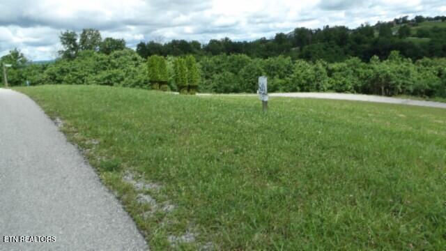 Lot 40c Swan Ridge Road Hilham TN 38568
