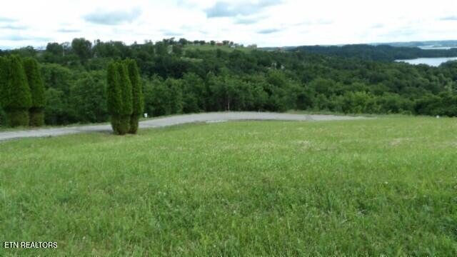Lot 40c Swan Ridge Road Hilham TN 38568