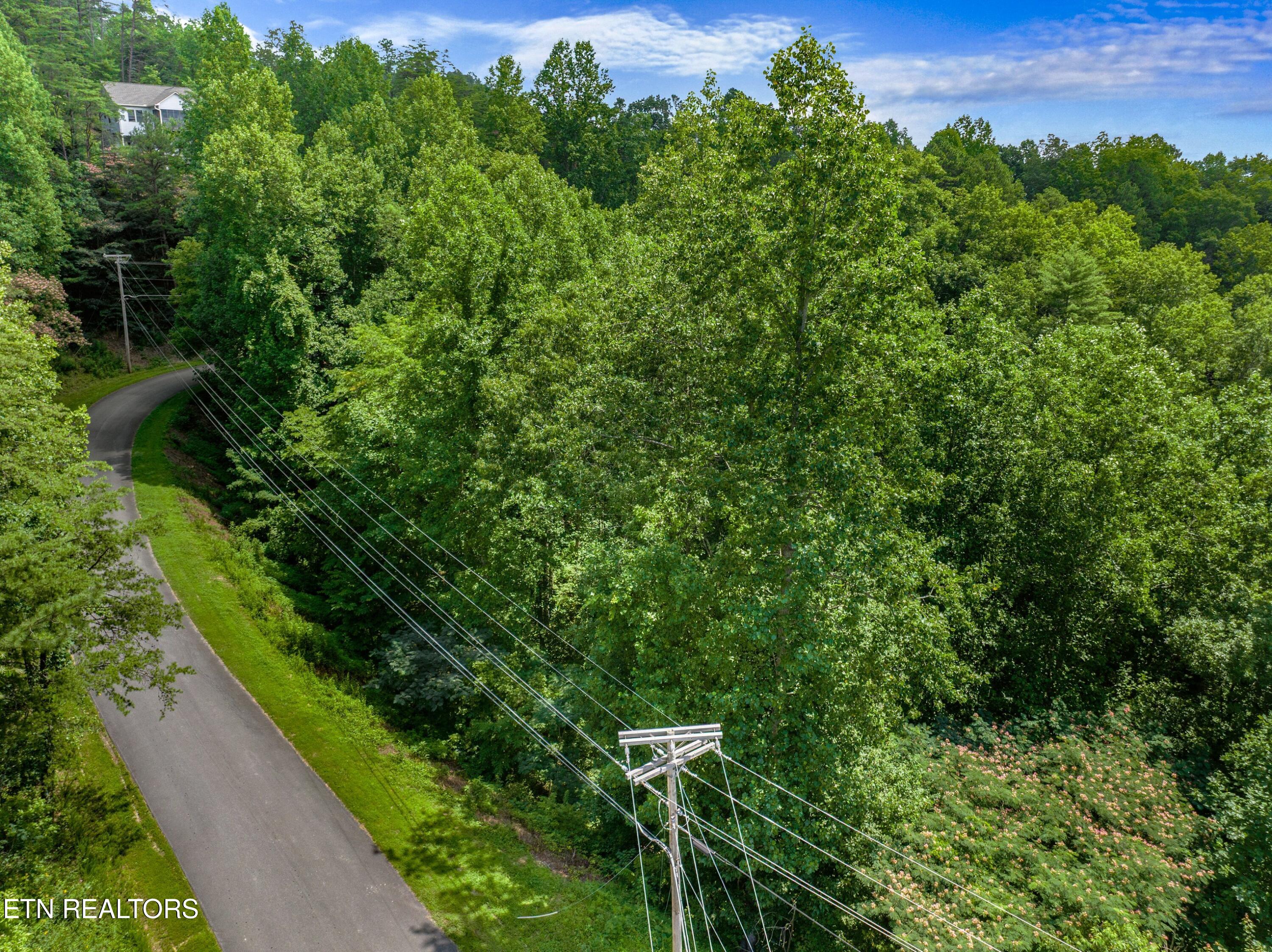 1005 Laurel Road Townsend TN 37882