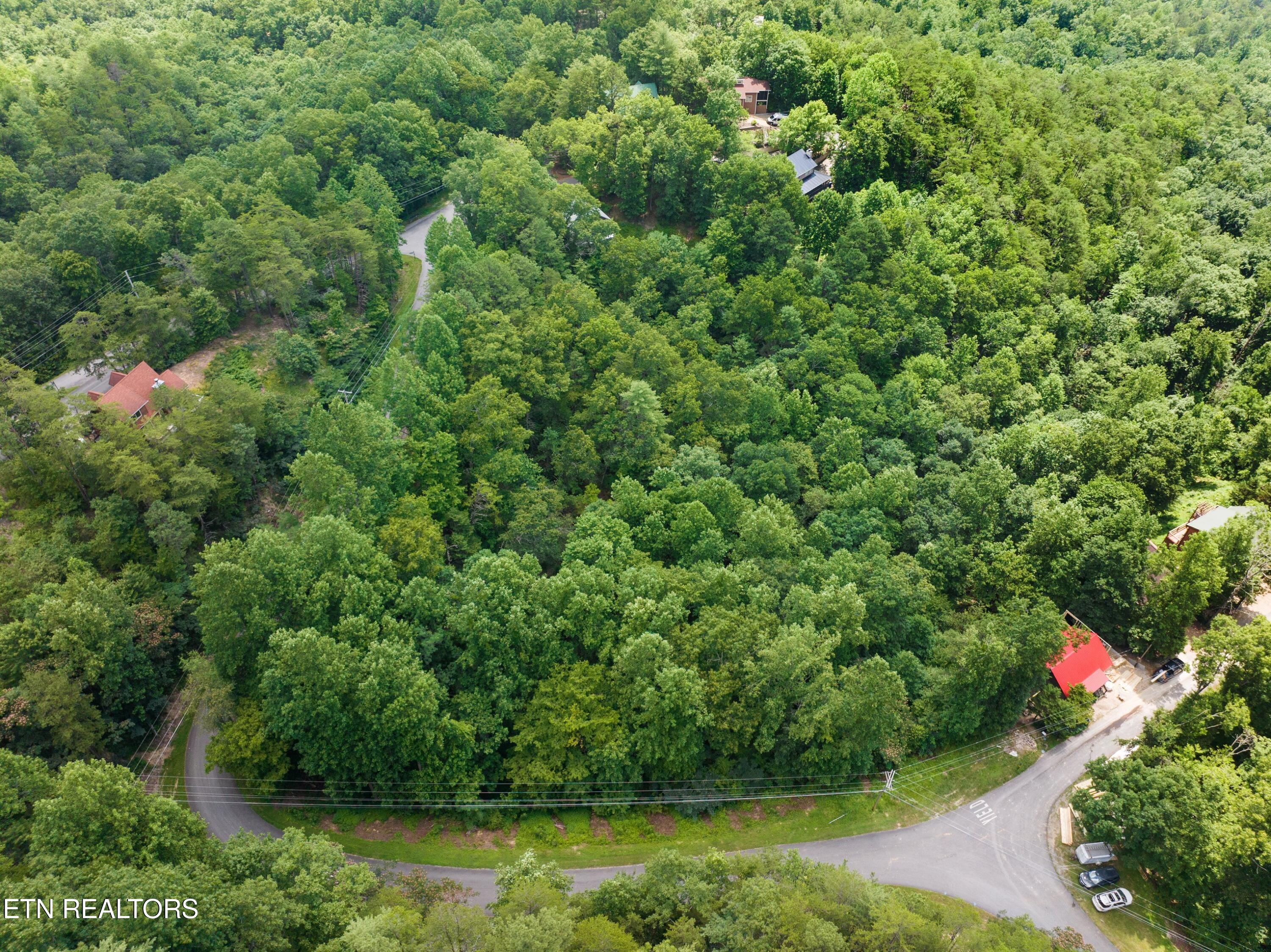 1005 Laurel Road Townsend TN 37882