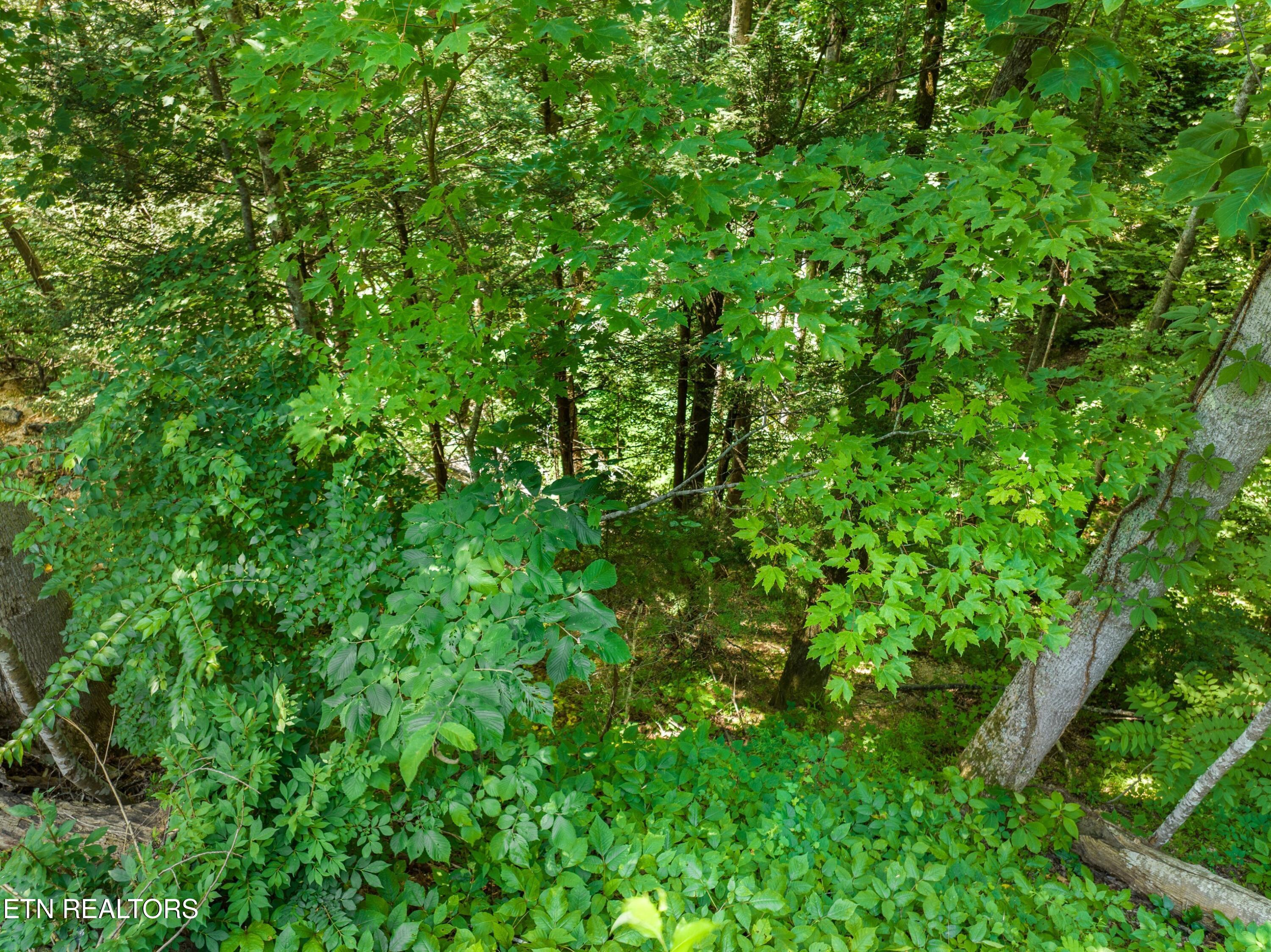 1005 Laurel Road Townsend TN 37882