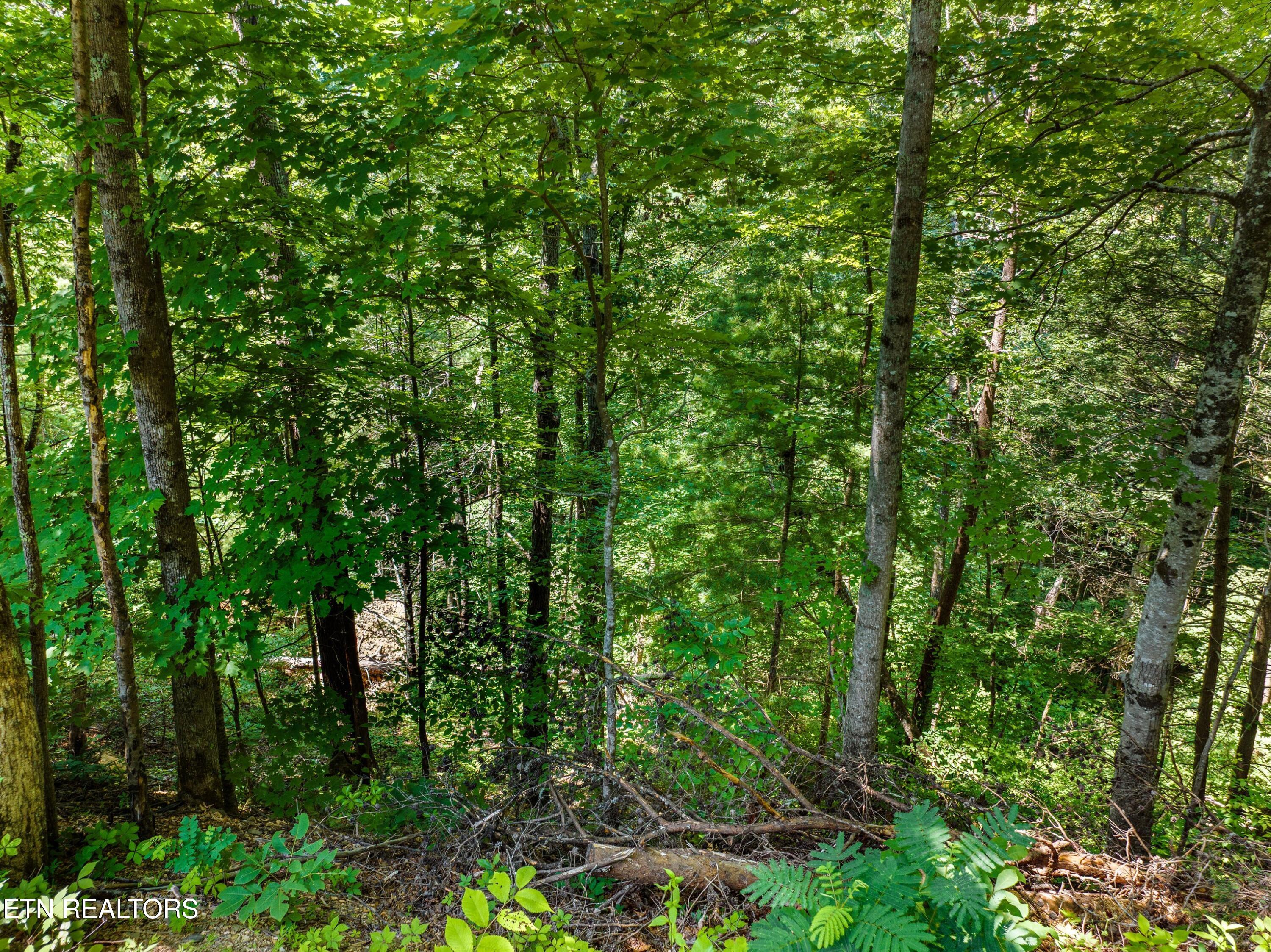 1005 Laurel Road Townsend TN 37882