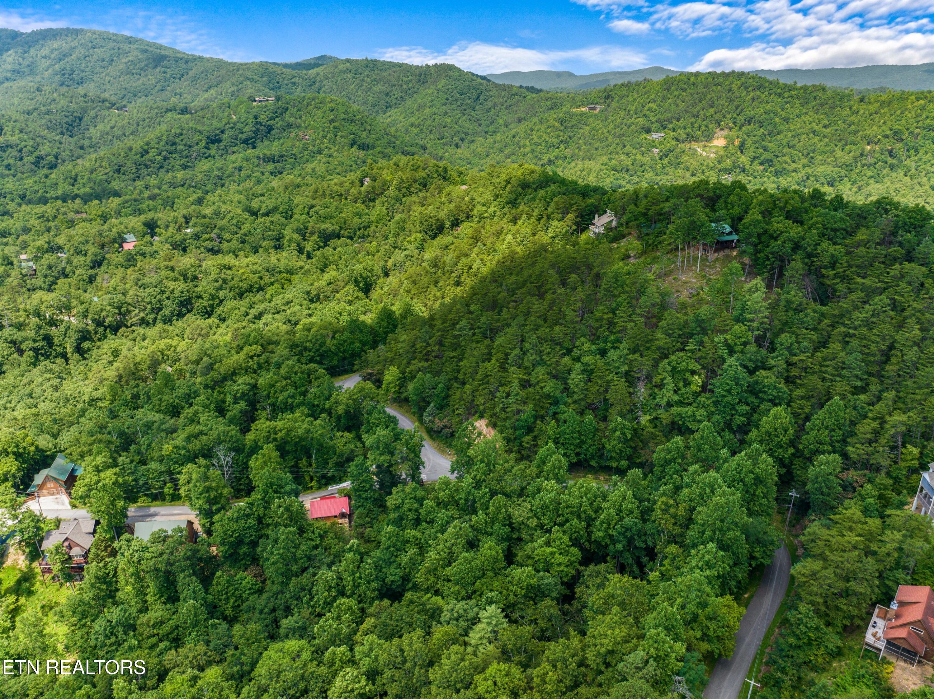1005 Laurel Road Townsend TN 37882