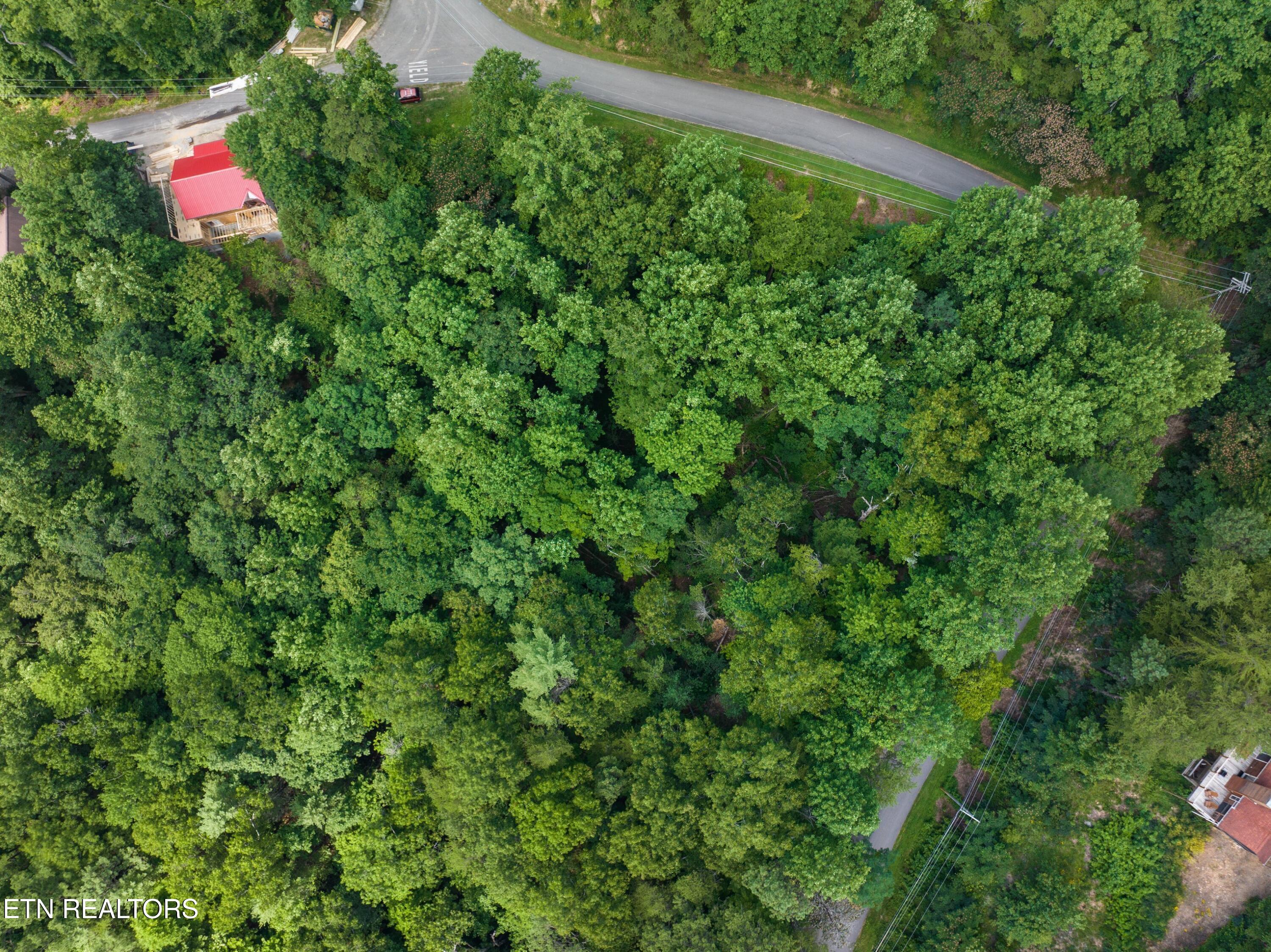 1005 Laurel Road Townsend TN 37882
