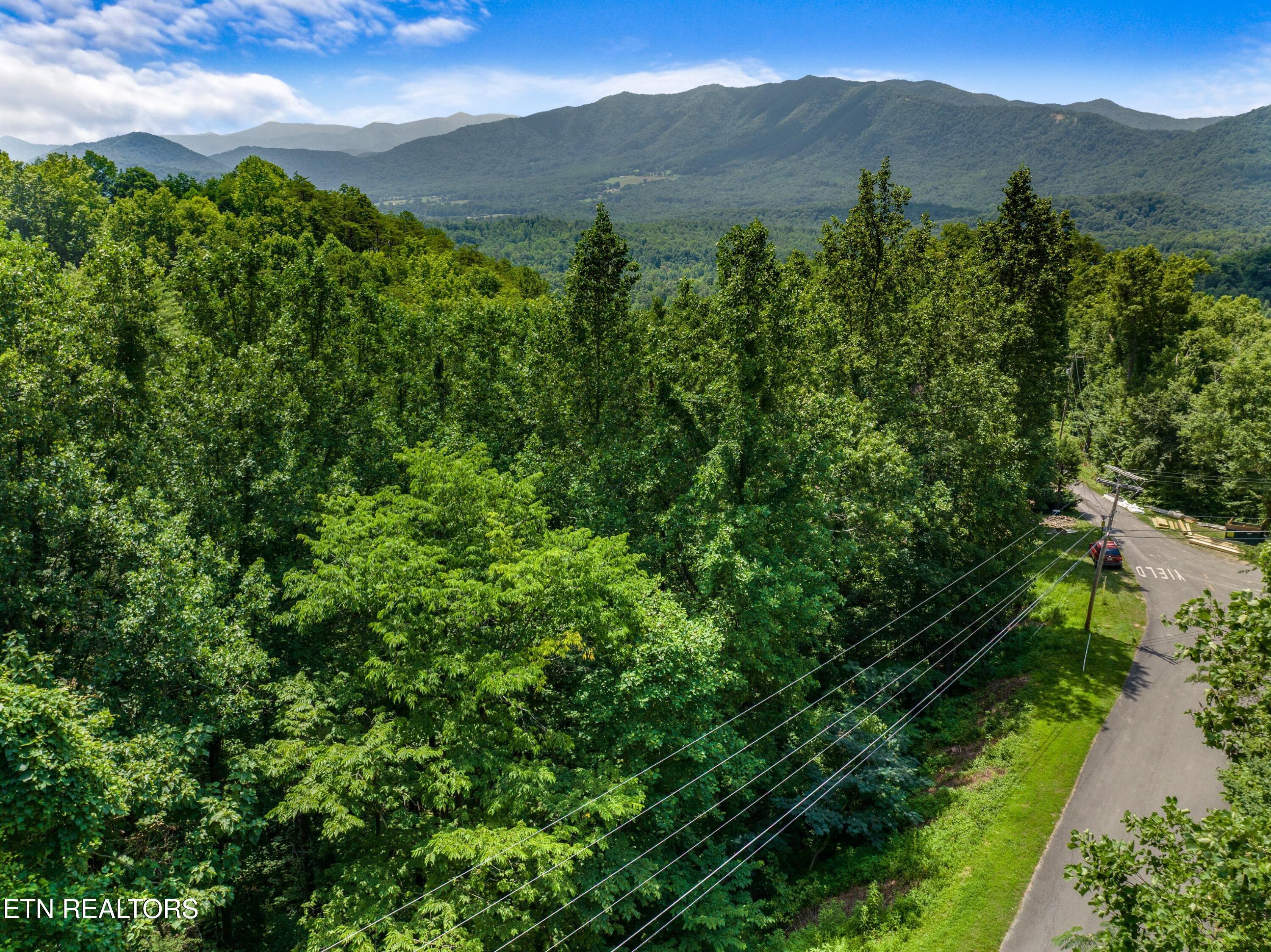1005 Laurel Road Townsend TN 37882